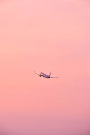 A sleek commercial jet taking off against a clear blue sky with soft pink hues at dawn.