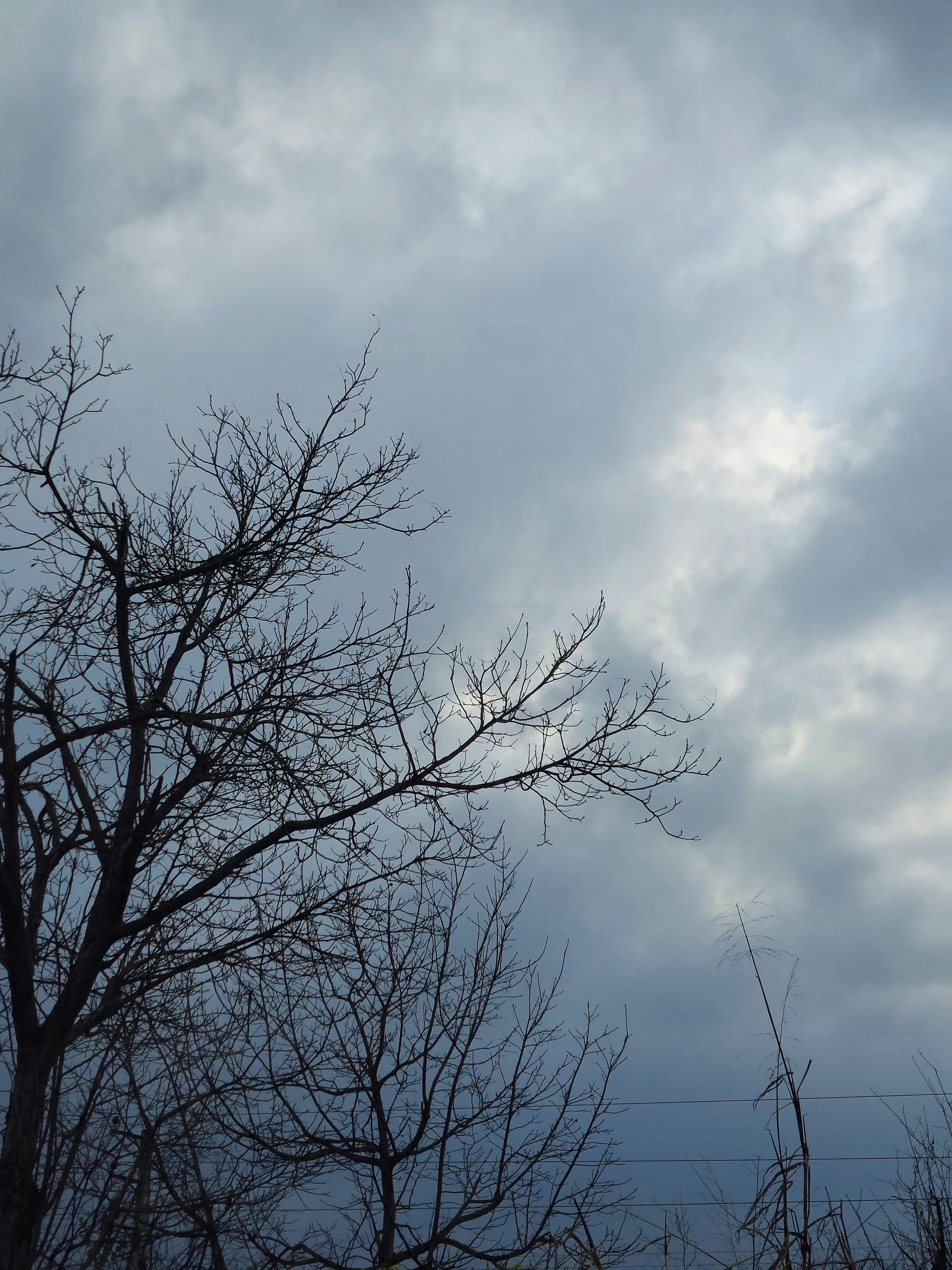 Photo by amirreal