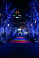 A vibrant pathway adorned with programmable LED accents.
