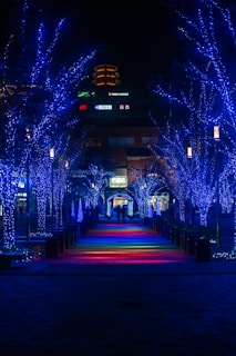 A vibrant pathway adorned with programmable LED accents.