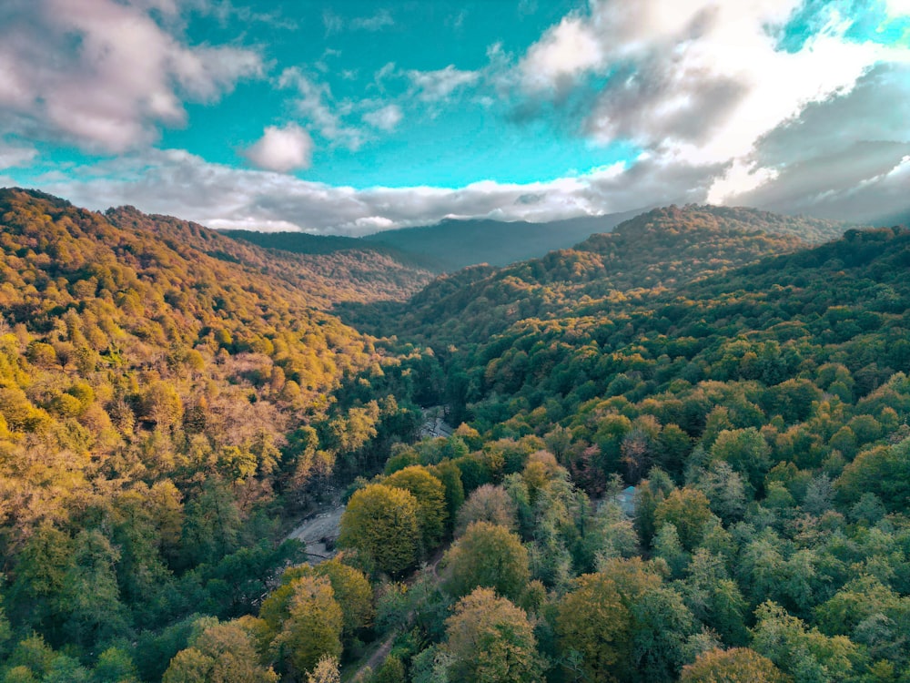 an aerial view of a forest with mountains in the background