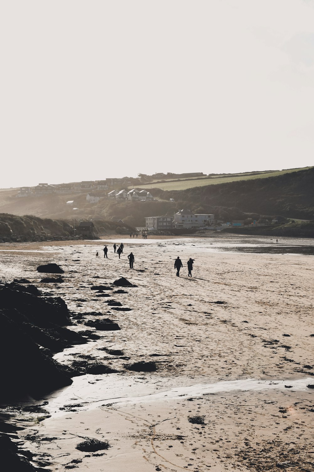 a group of people walking along a sandy beach