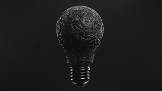 a black and white photo of a light bulb