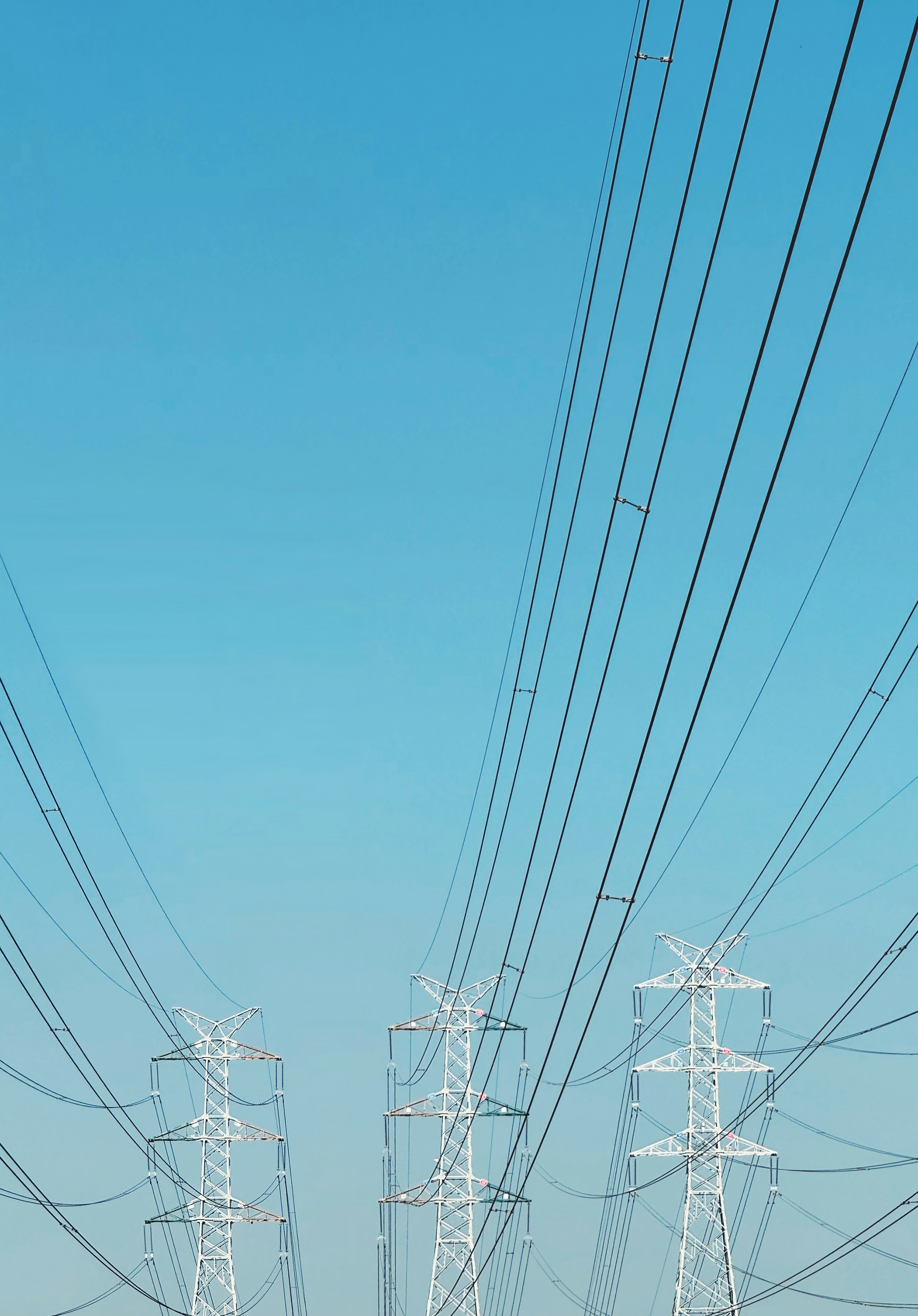 Photo by lilidongdong