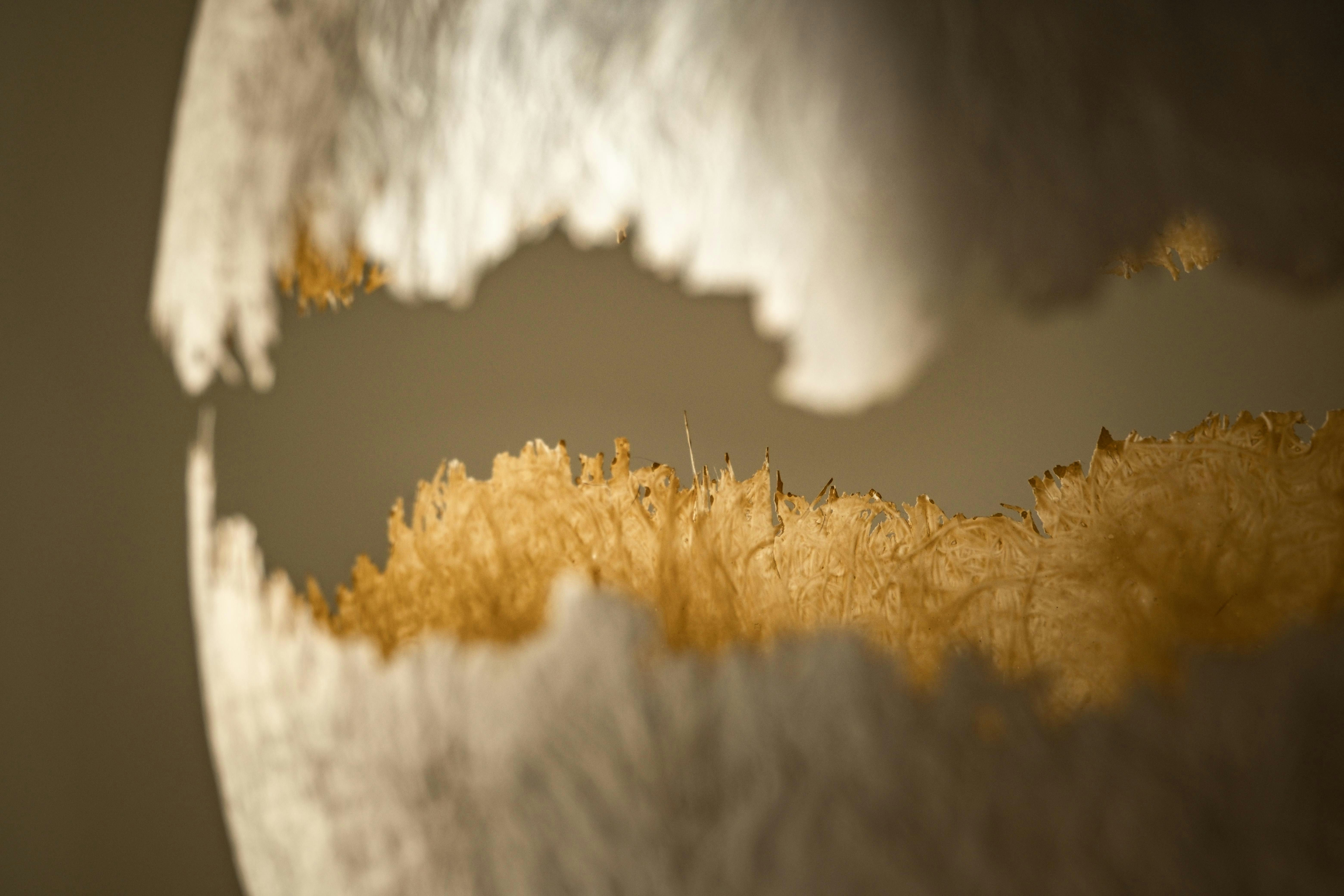 Photo by francesco_ungaro