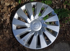 A silver wheel hubcap lies on the ground amidst brown leaves and green foliage. The hubcap has a metallic finish with a series of radial, spoke-like designs around its center. There is a logo embossed in the center of the hubcap.