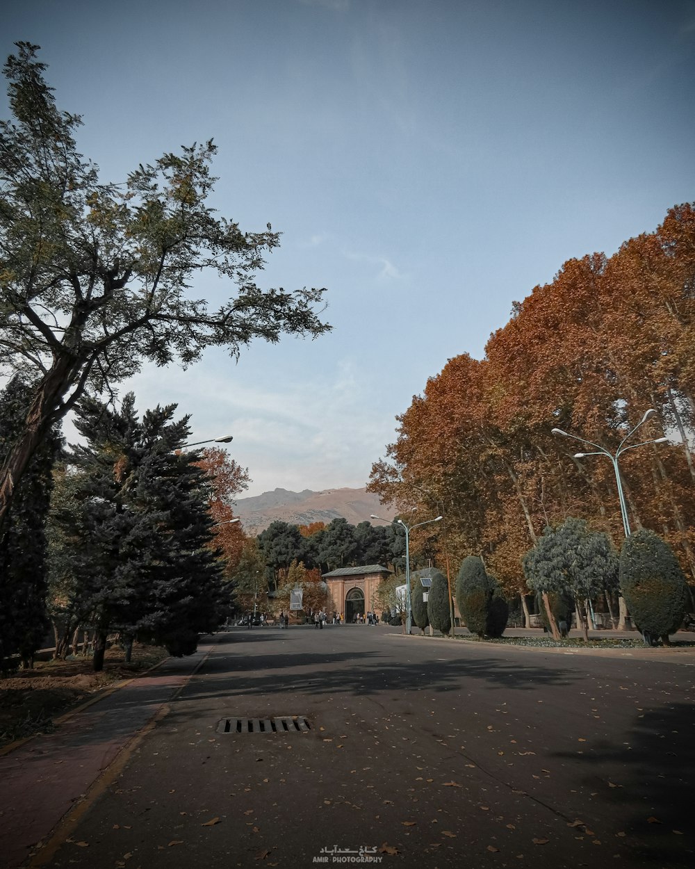 a street with trees and a building in the background