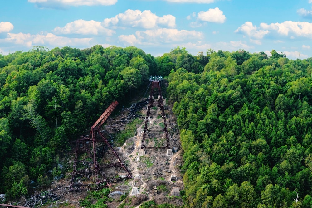 a train traveling through a lush green forest