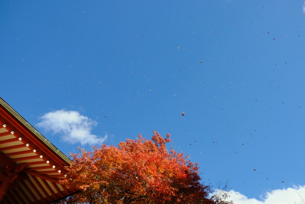 a group of birds flying over a building