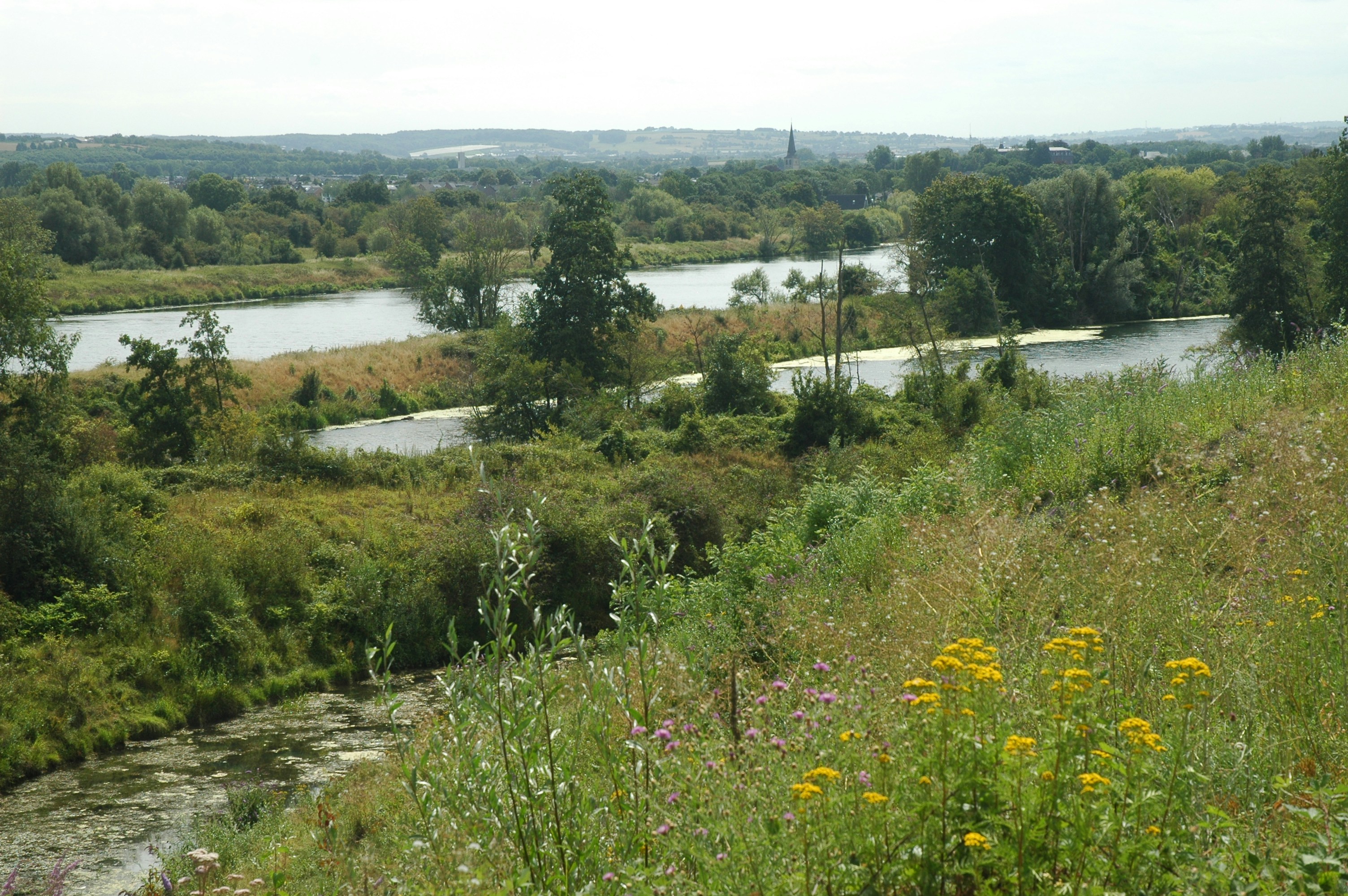 Afbeelding van Eijsden