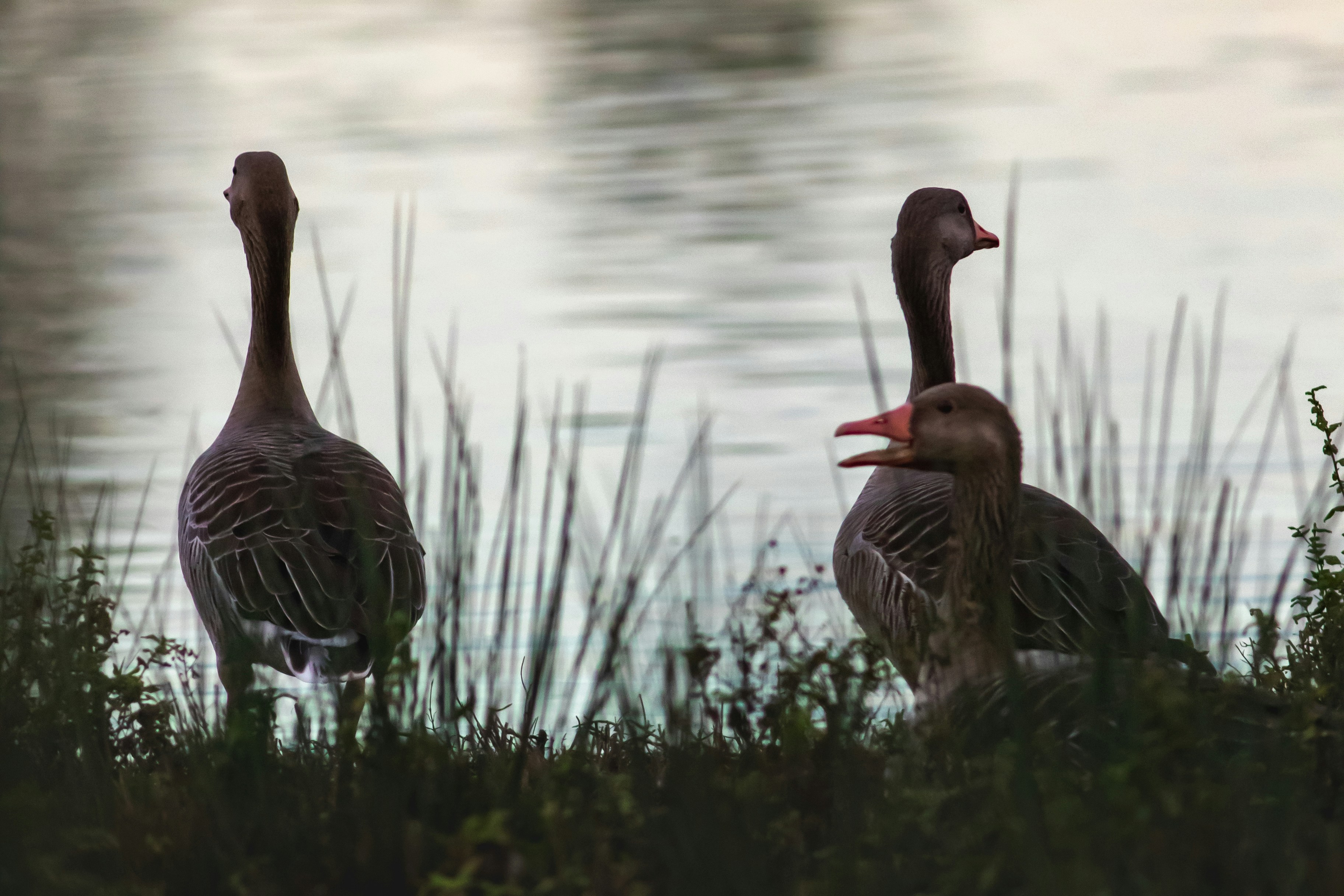 Photo by mattia_poli_04