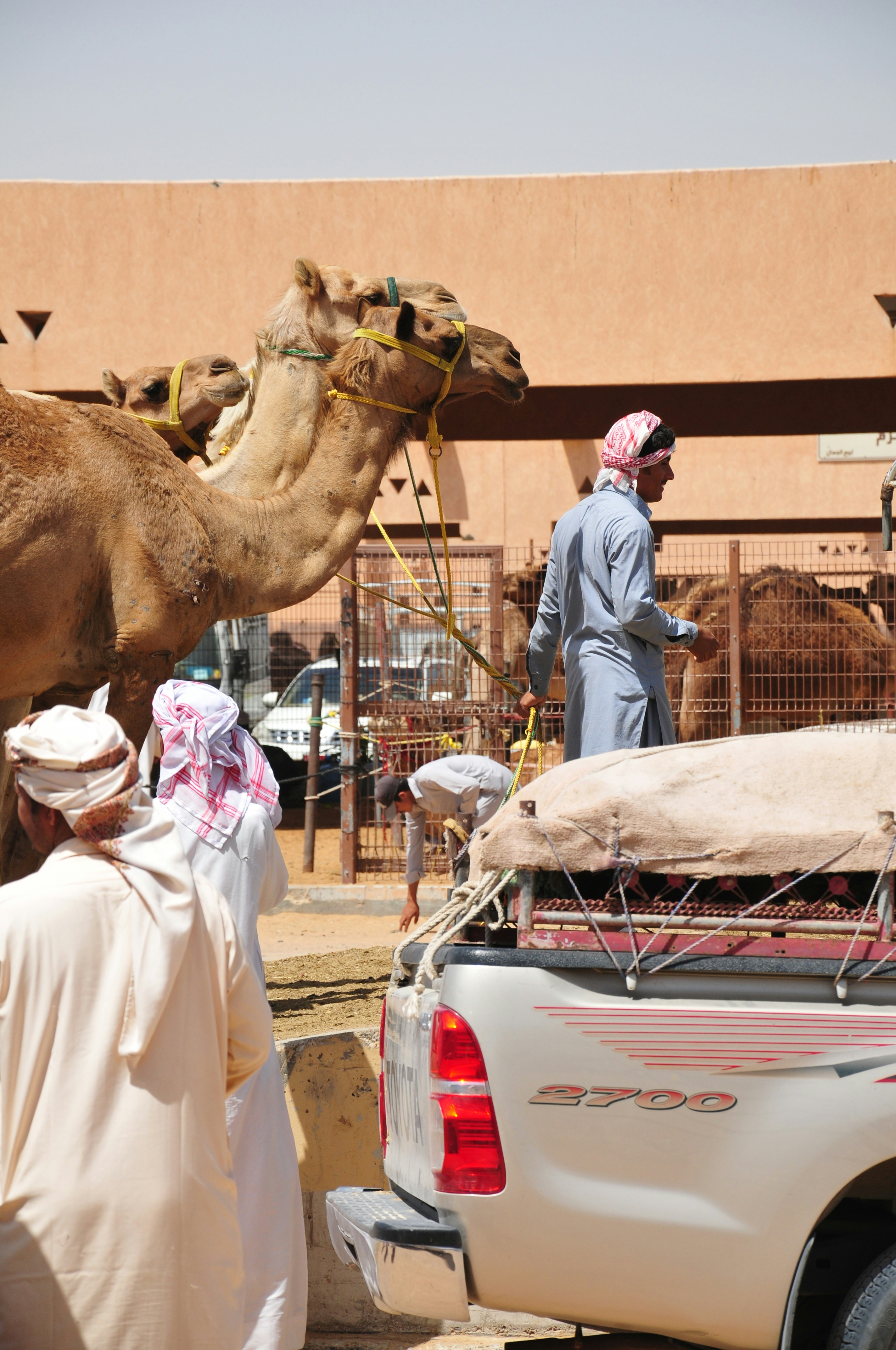 The Science Behind Cold Chain Logistics (image credits: unsplash)