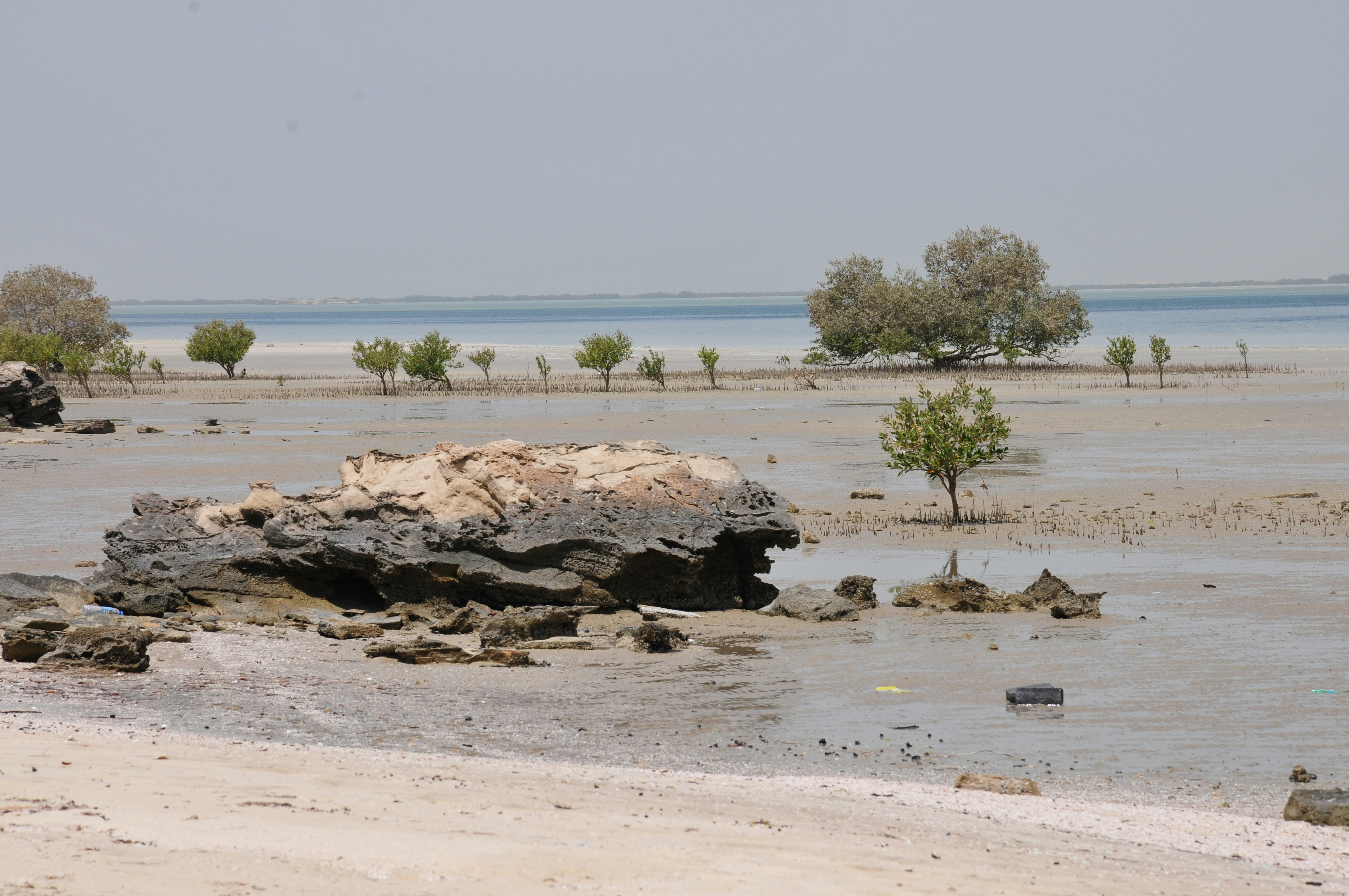 a large body of water sitting next to a sandy beach