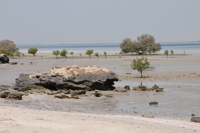 A serene coastal island scene with vibrant mangroves meeting clear blue waters under a warm sunset.