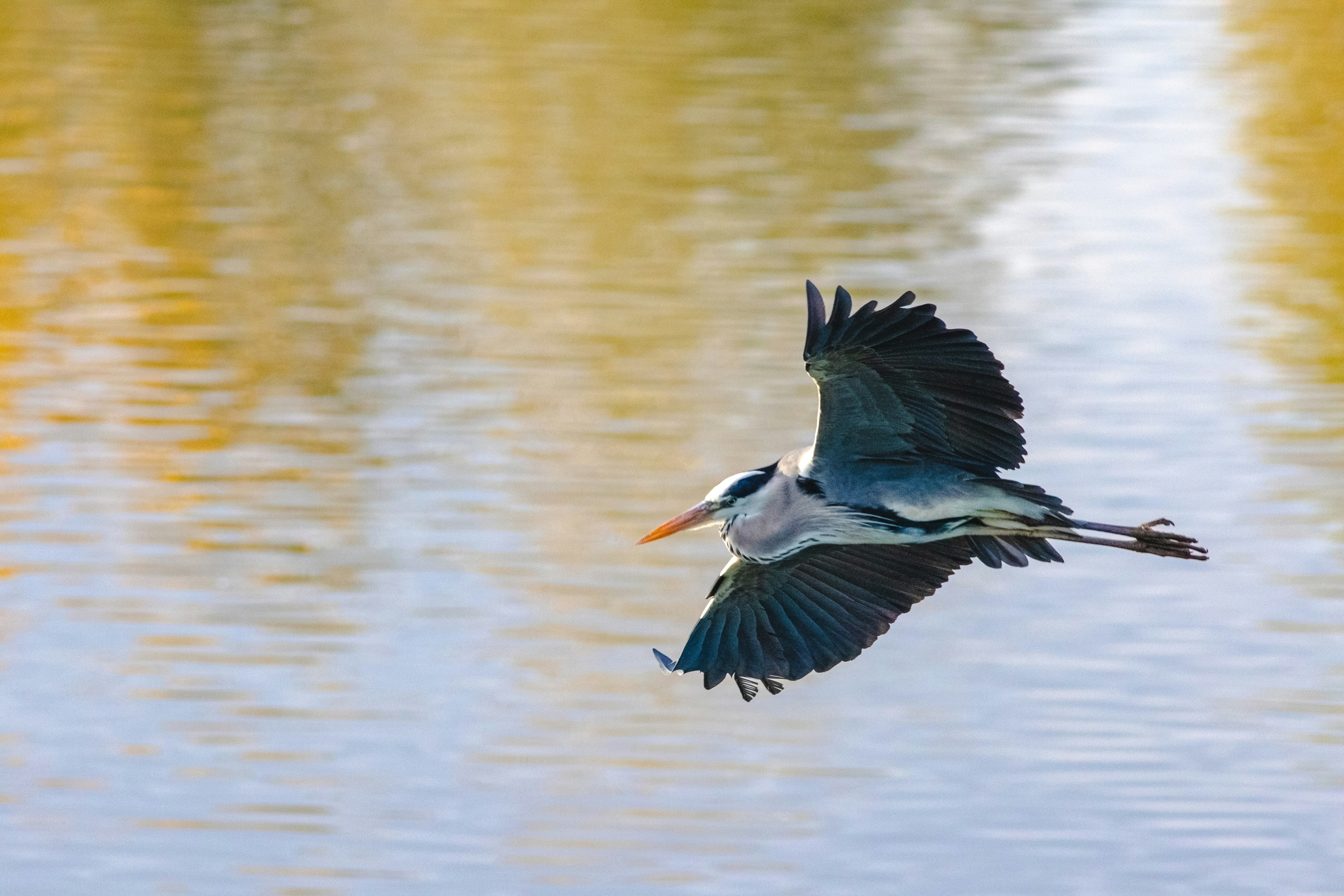 Photo by mattia_poli_04