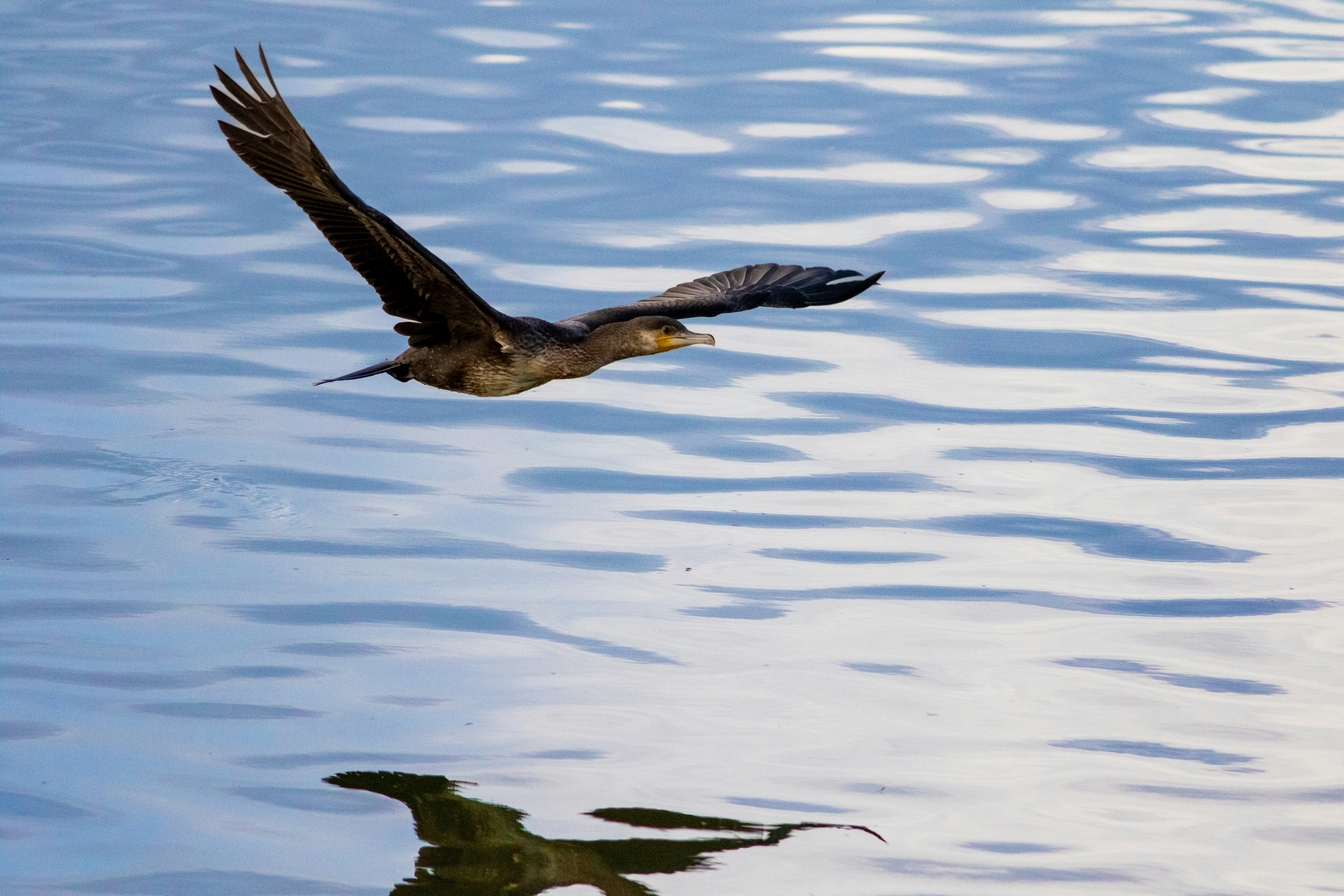 Photo by mattia_poli_04