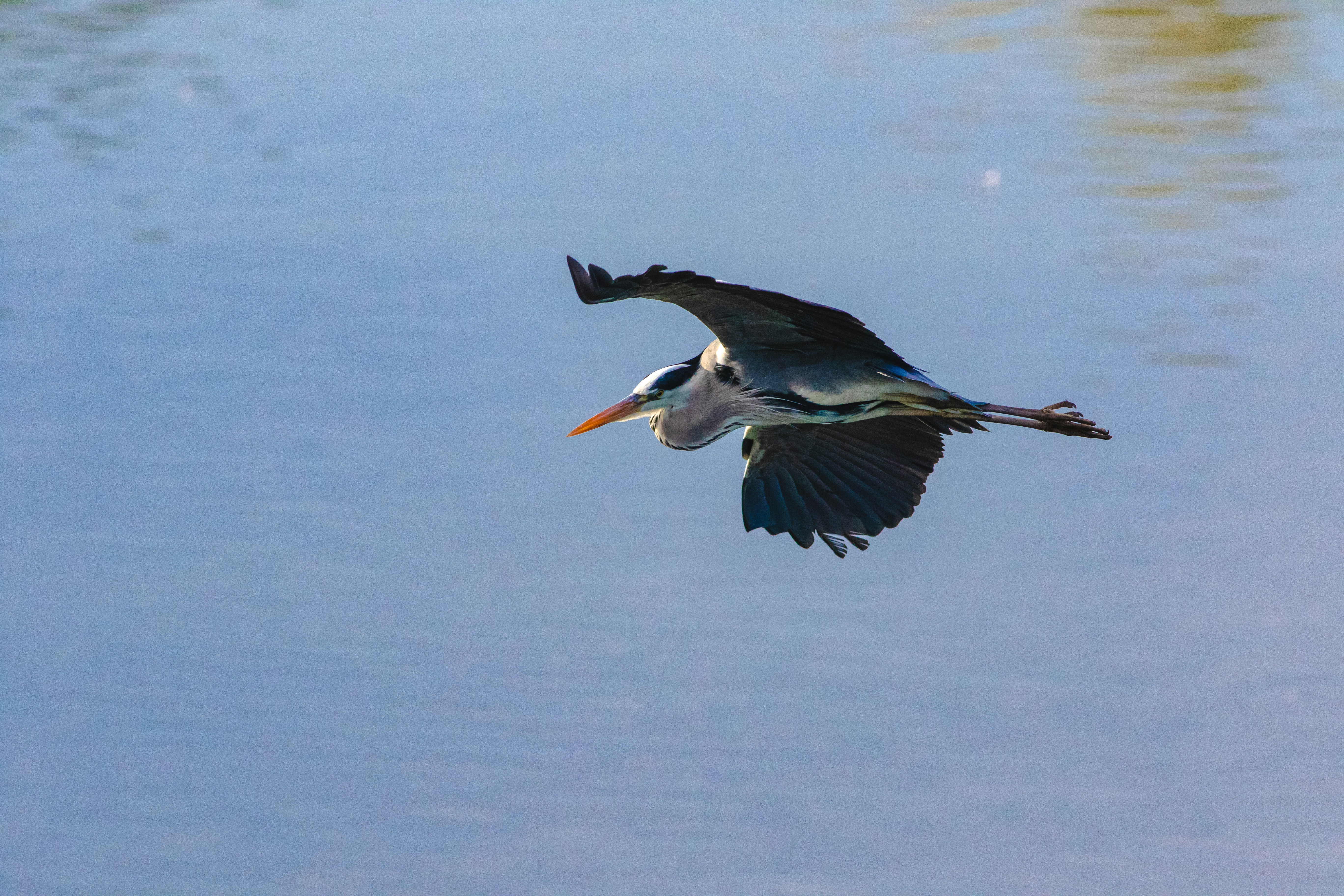 Photo by mattia_poli_04