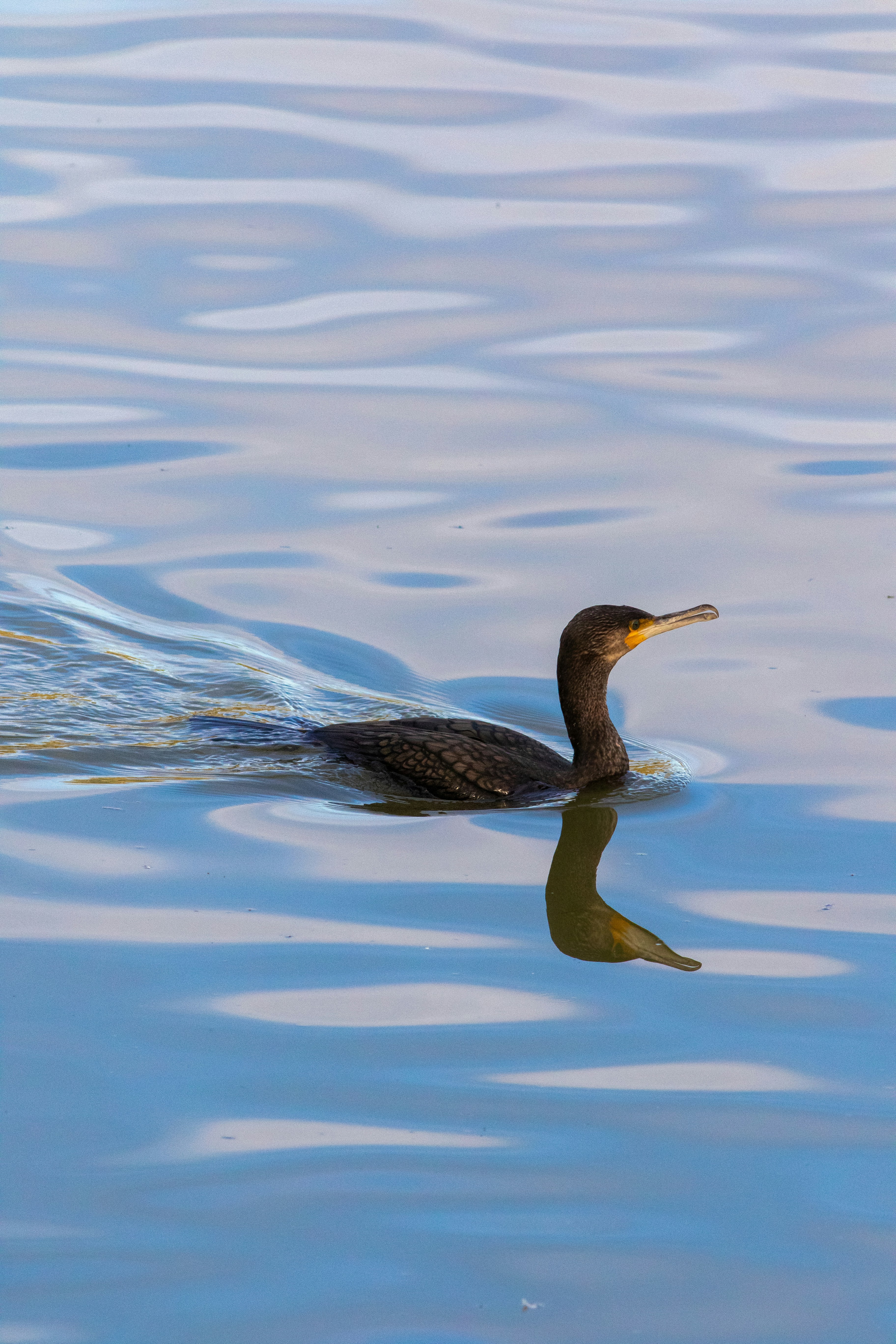 Photo by mattia_poli_04