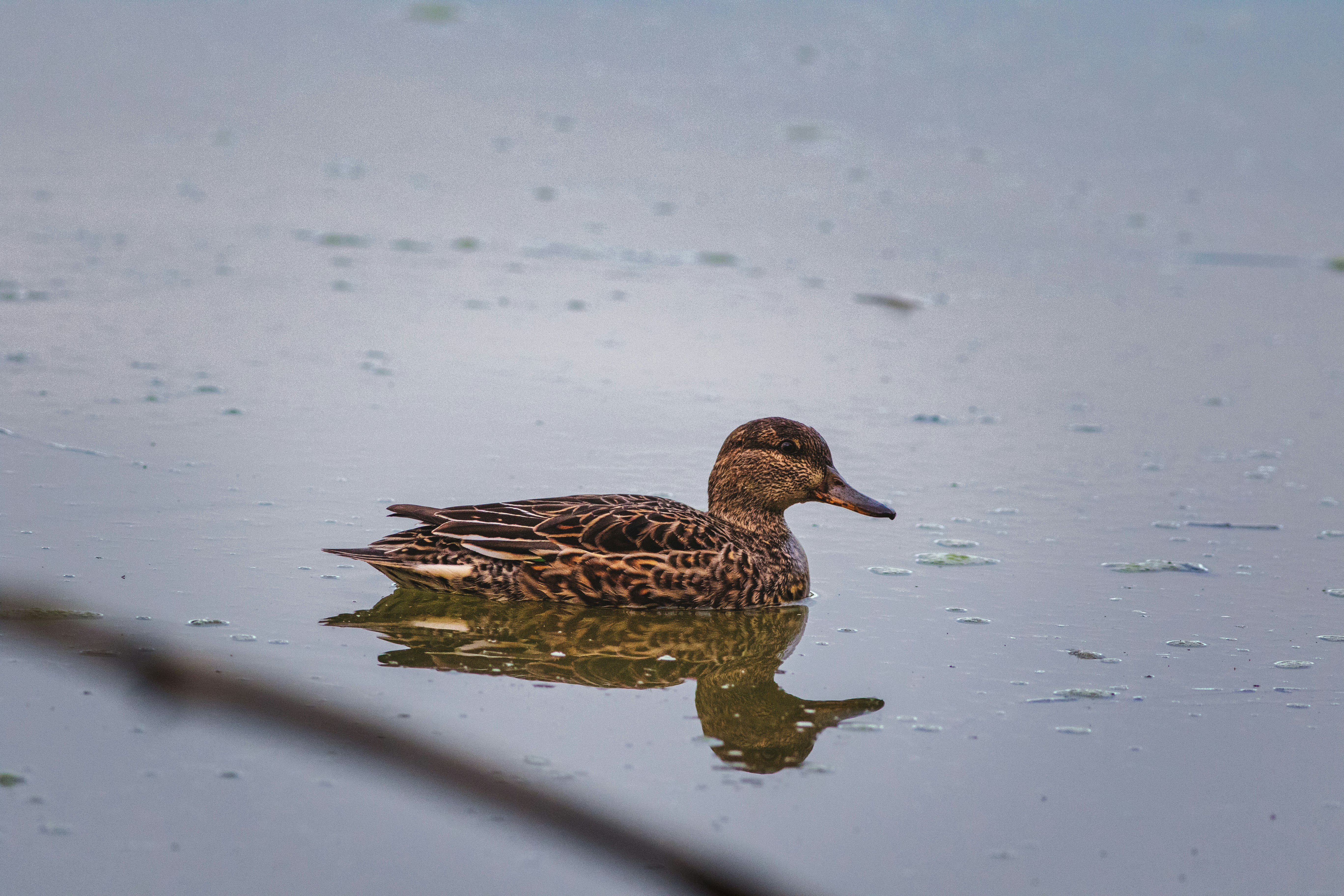 Photo by mattia_poli_04