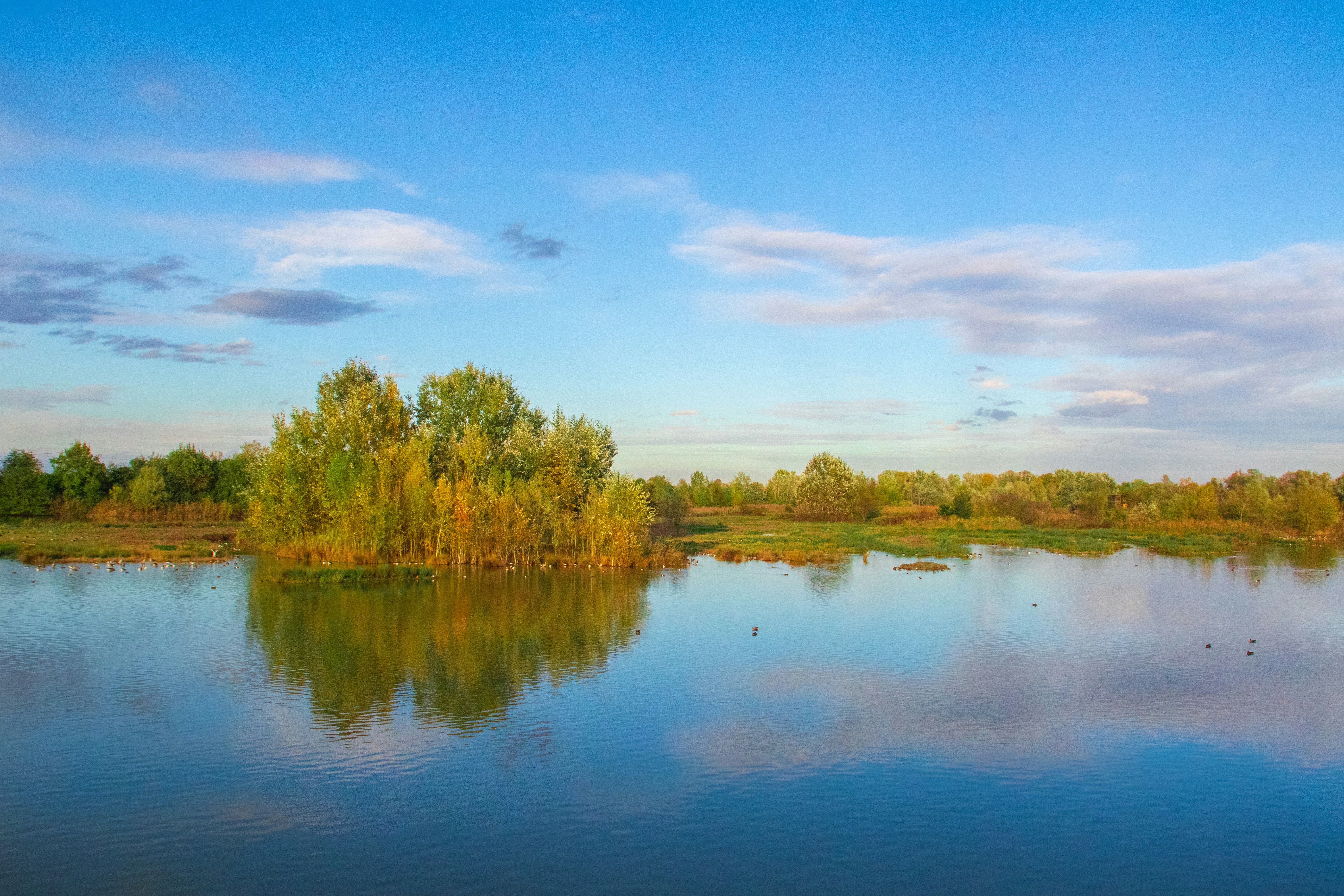 Photo by mattia_poli_04