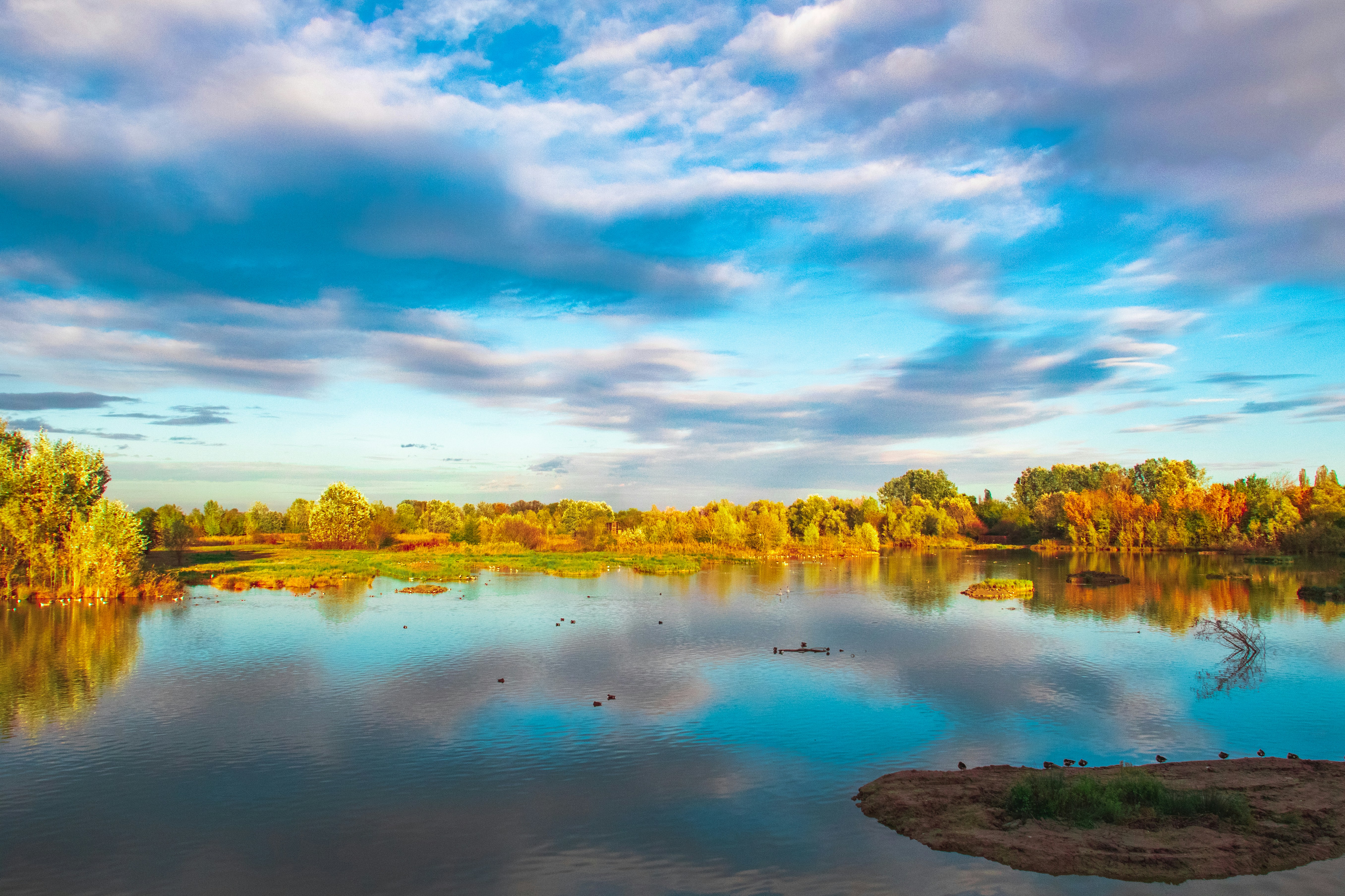 Photo by mattia_poli_04