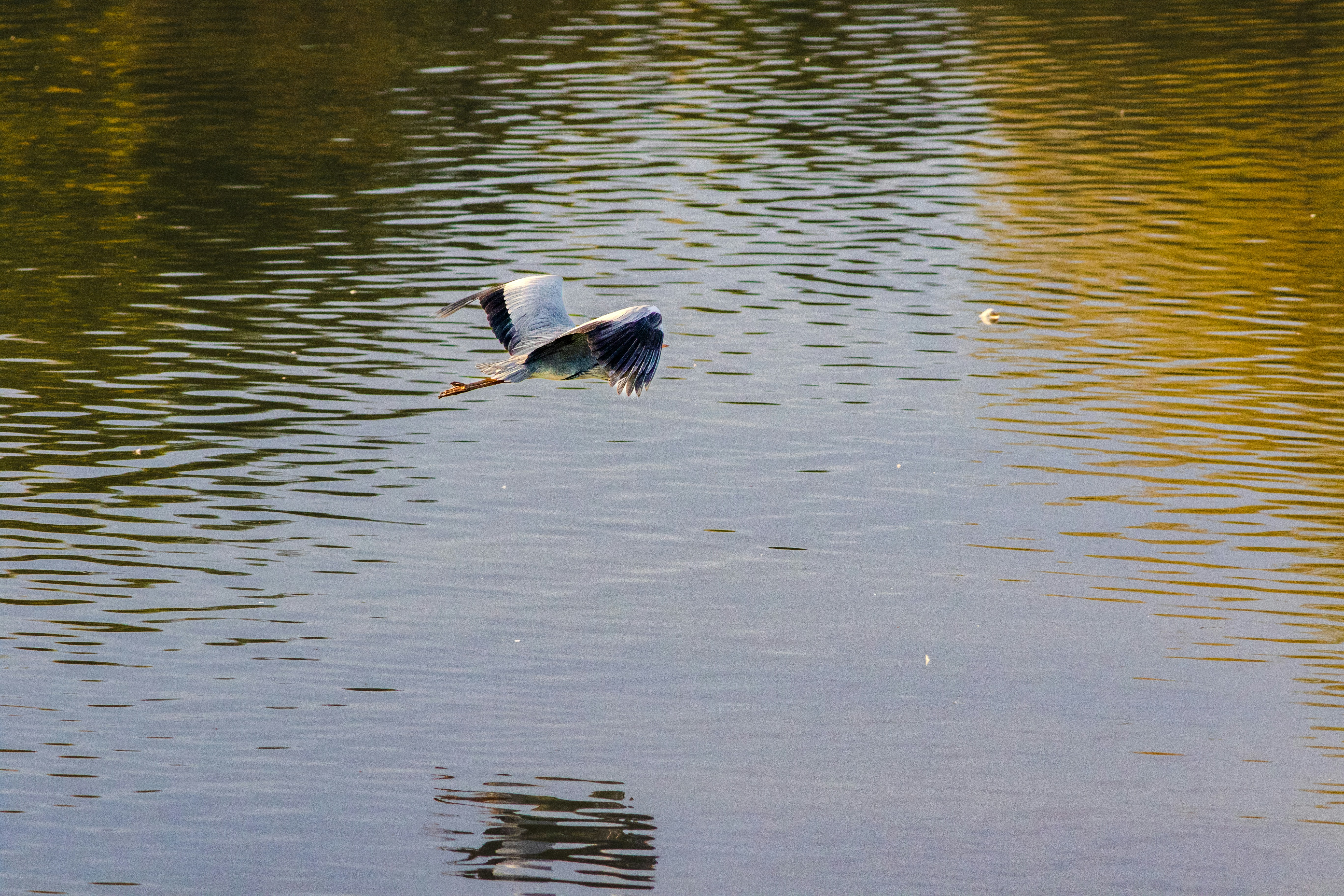 Photo by mattia_poli_04