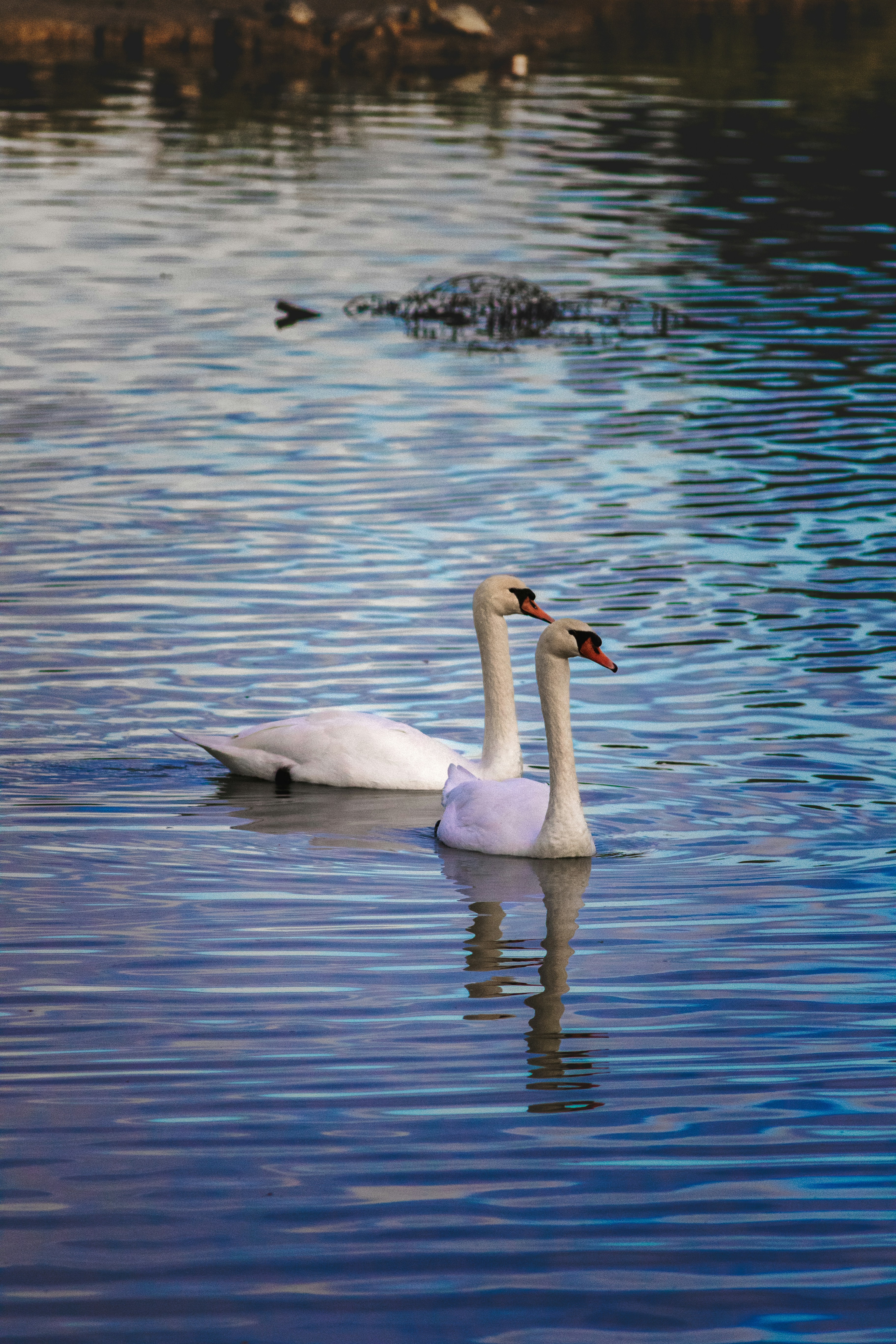 Photo by mattia_poli_04