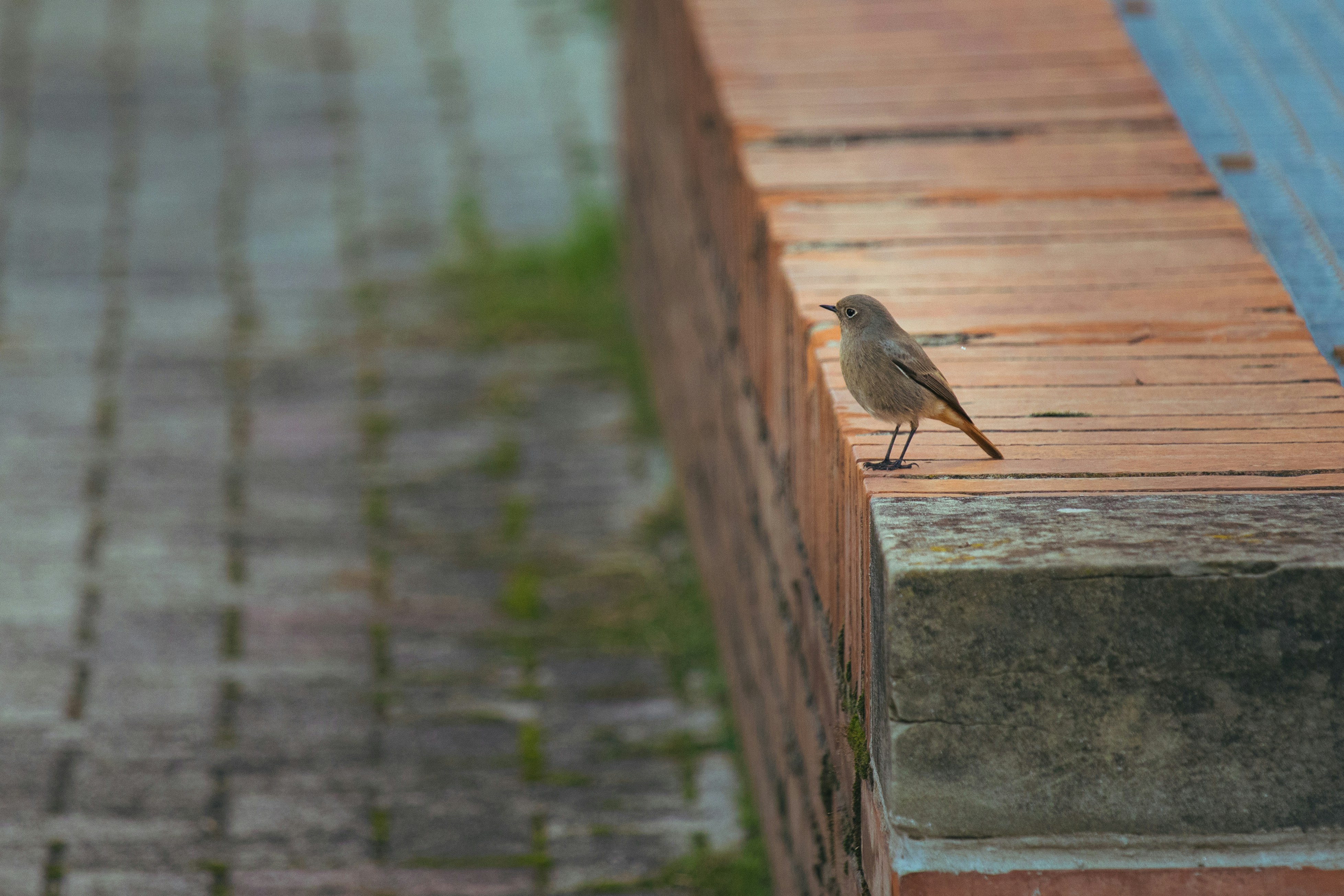 Photo by mattia_poli_04