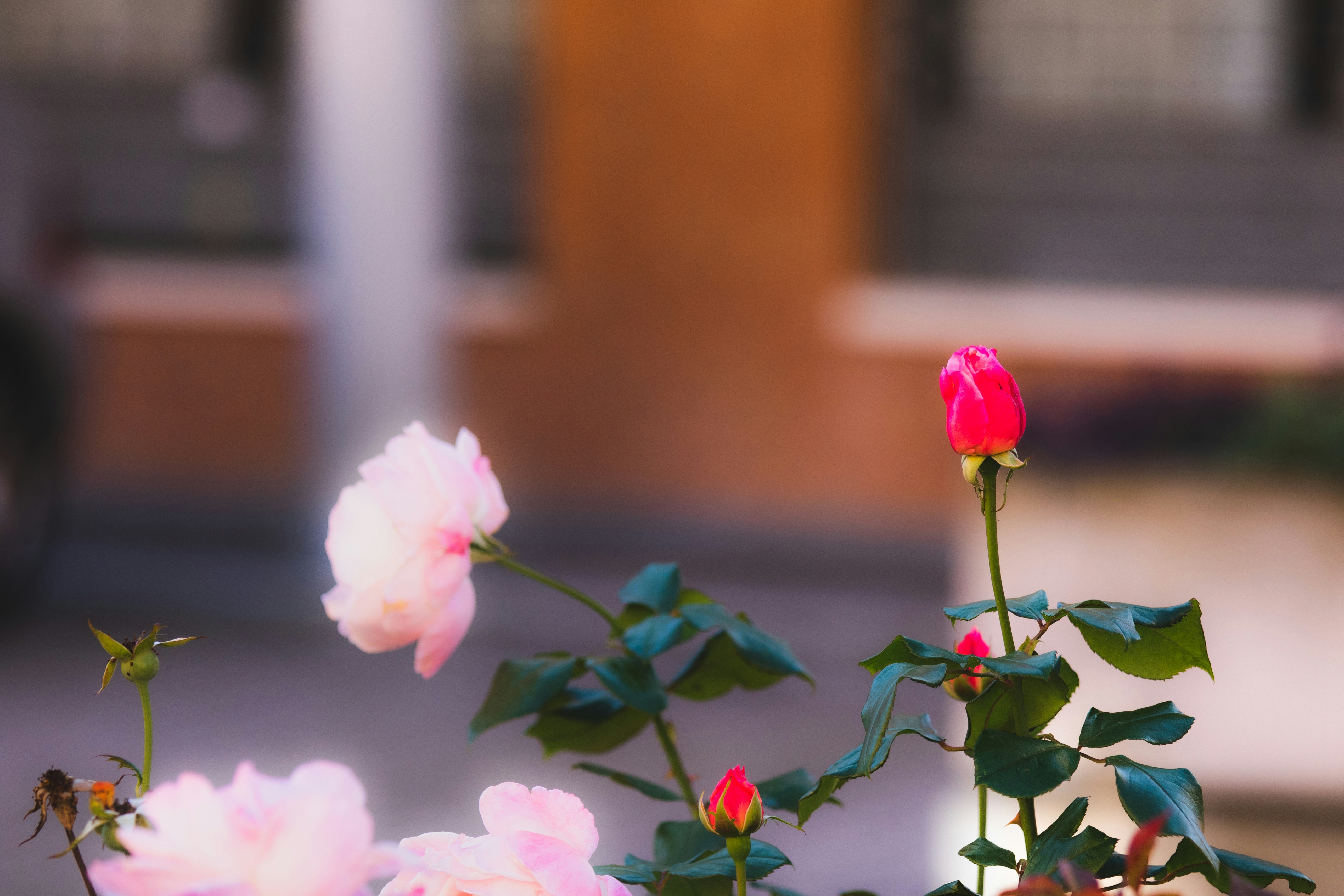 Photo by mattia_poli_04