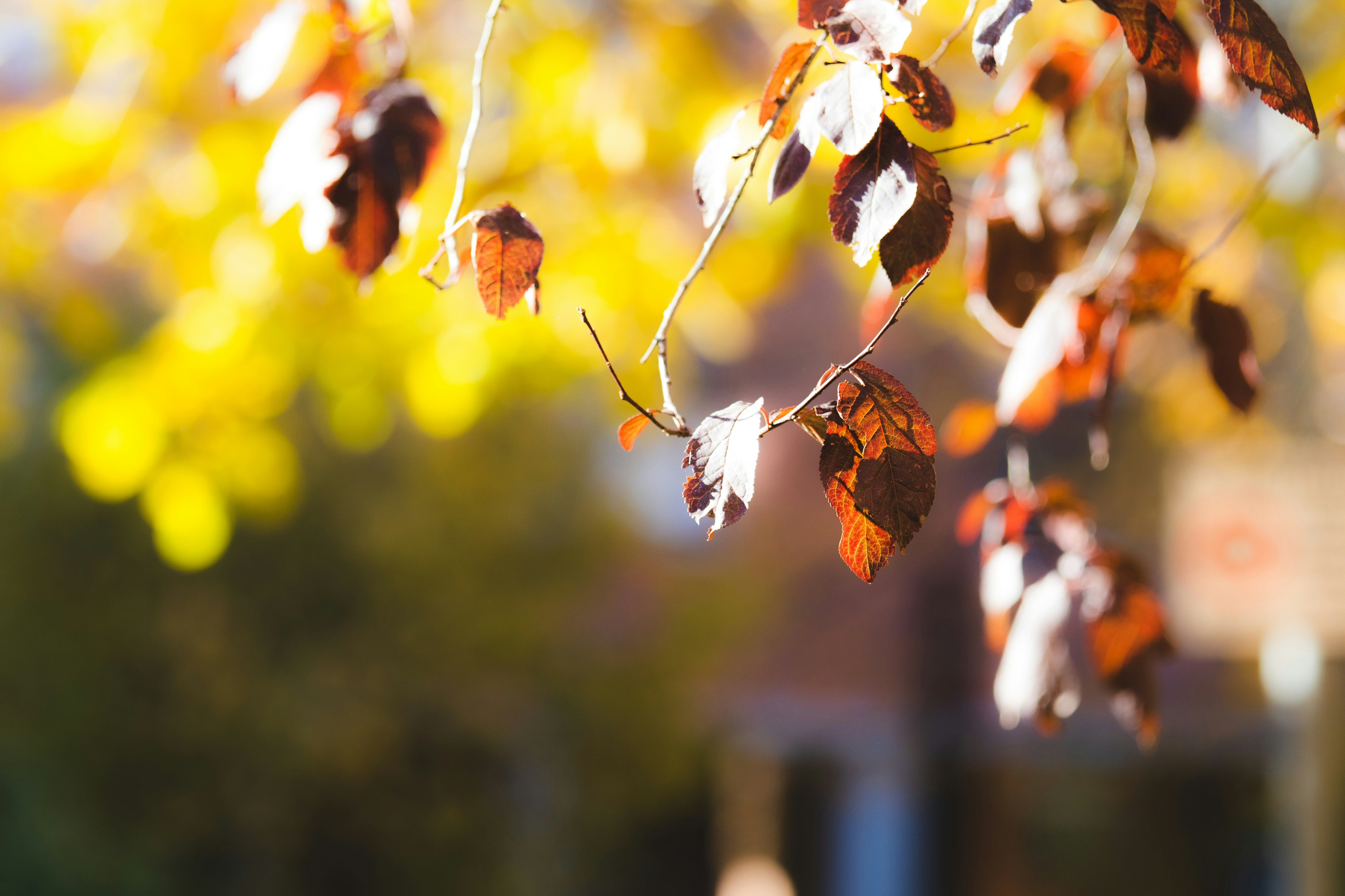 Photo by mattia_poli_04