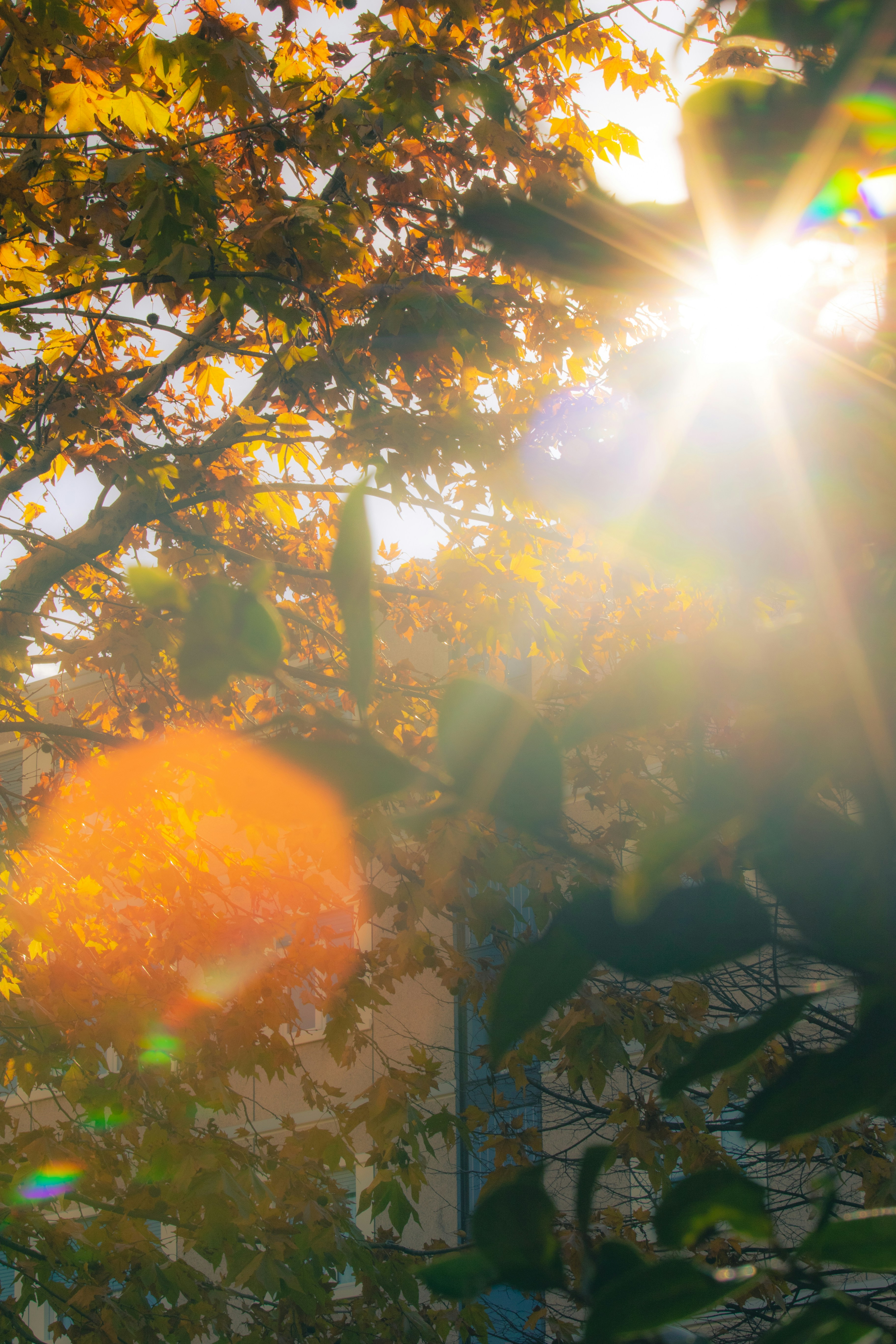 Photo by mattia_poli_04