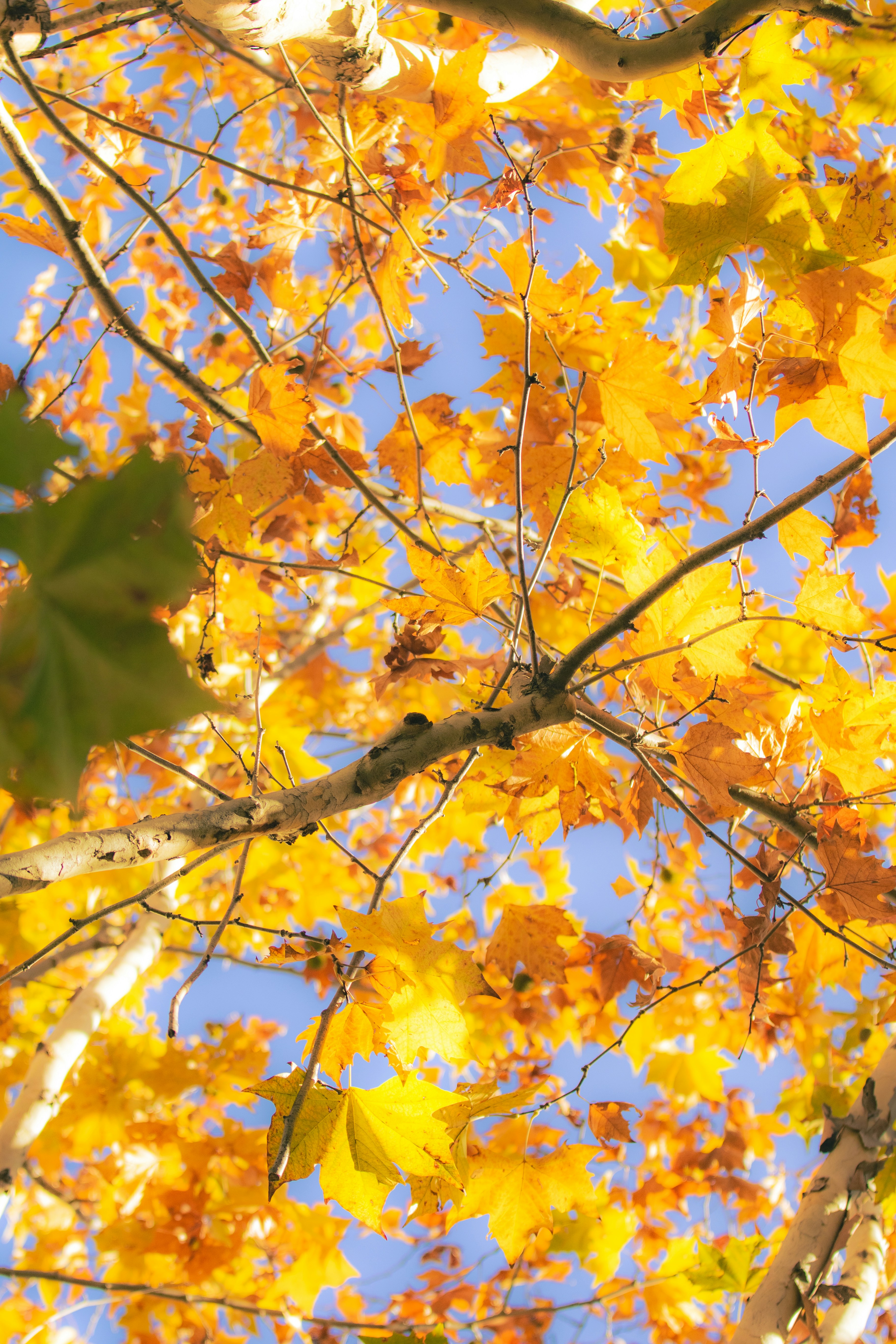 Photo by mattia_poli_04