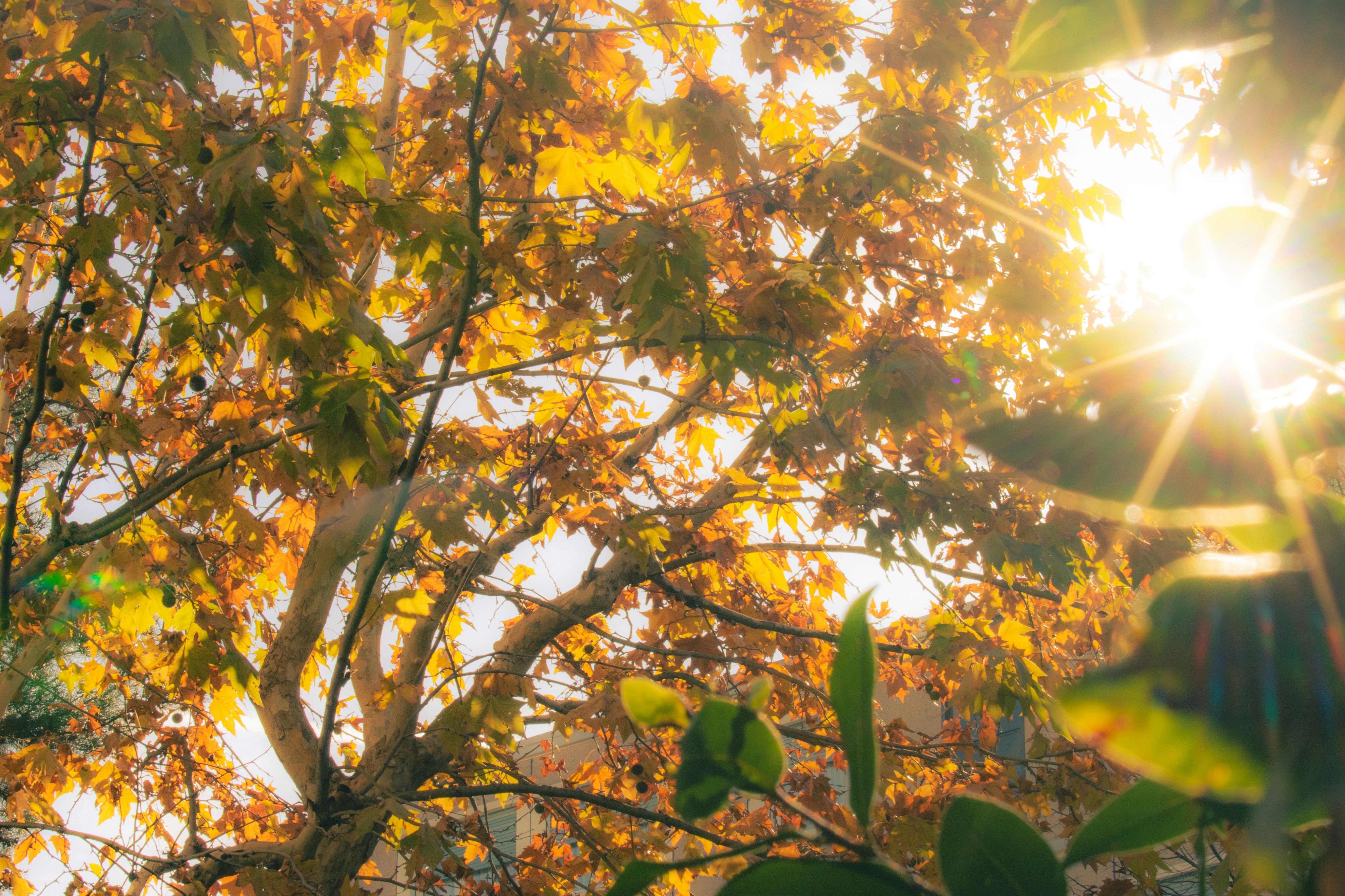 Photo by mattia_poli_04