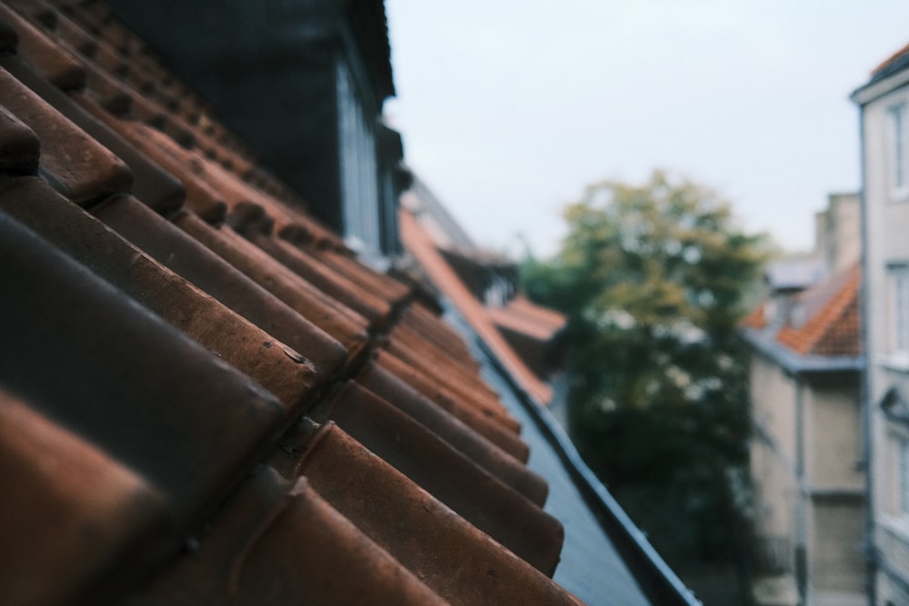 a close up of a roof with a building in the background