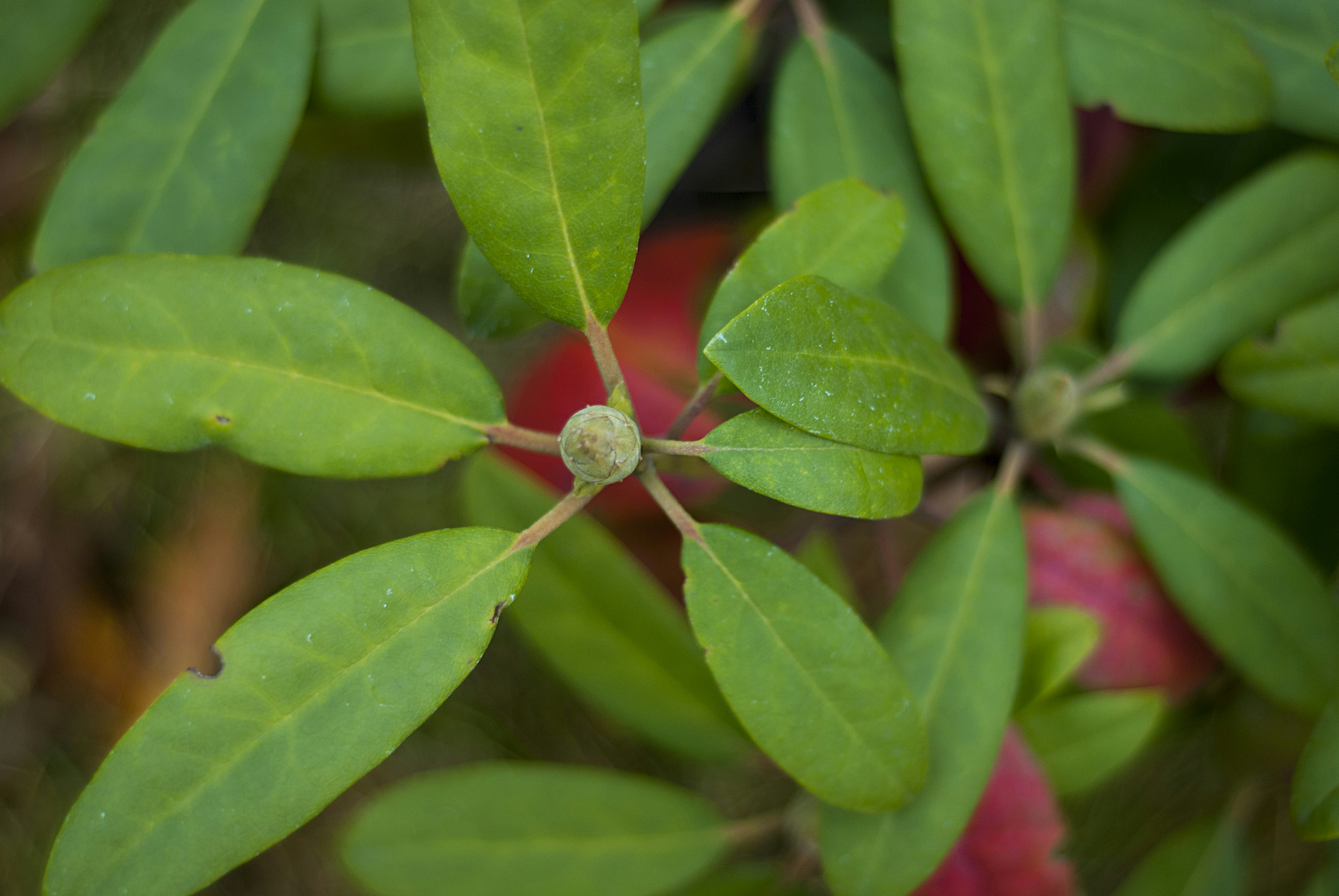 Photo by kovalskihelga