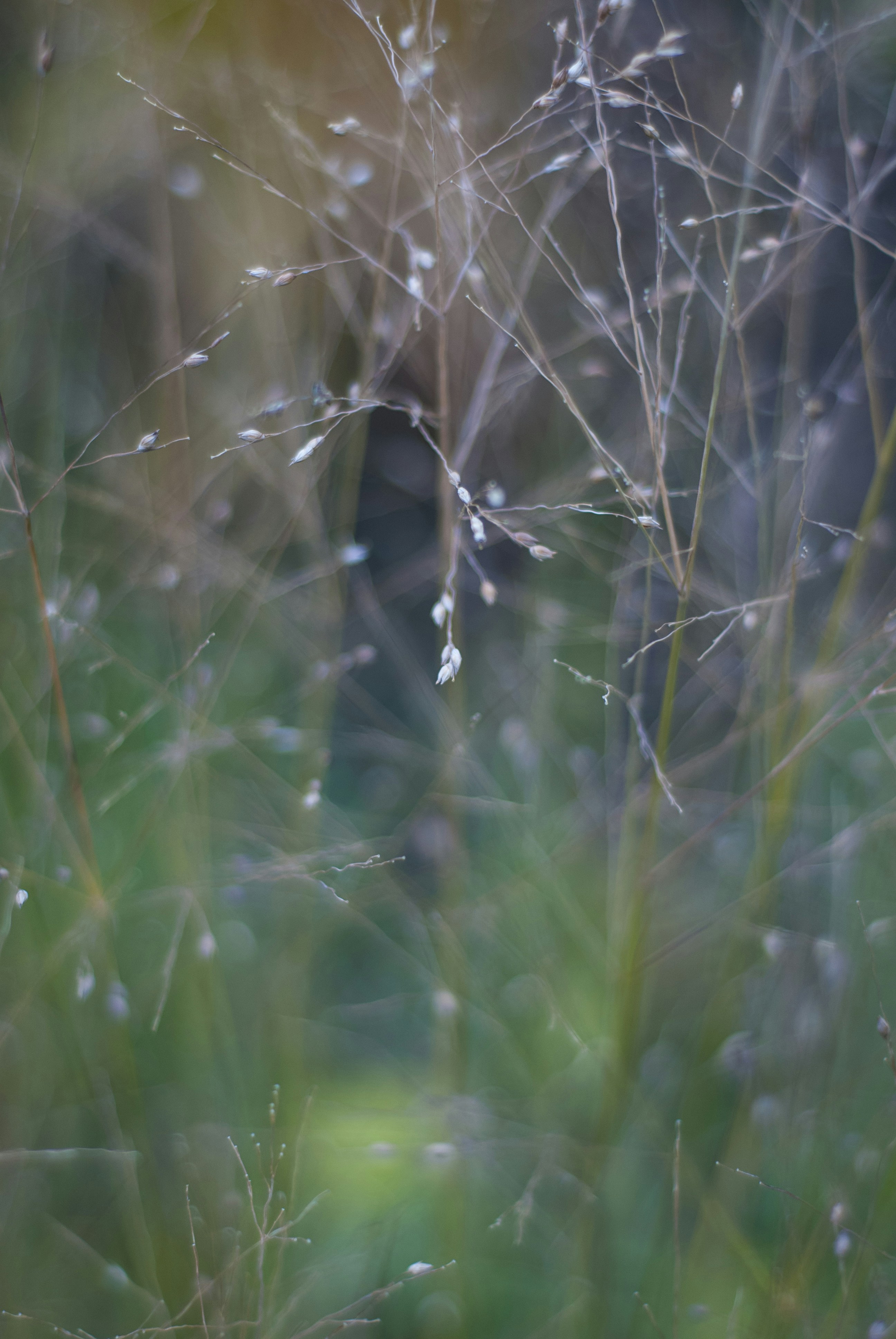 Photo by kovalskihelga