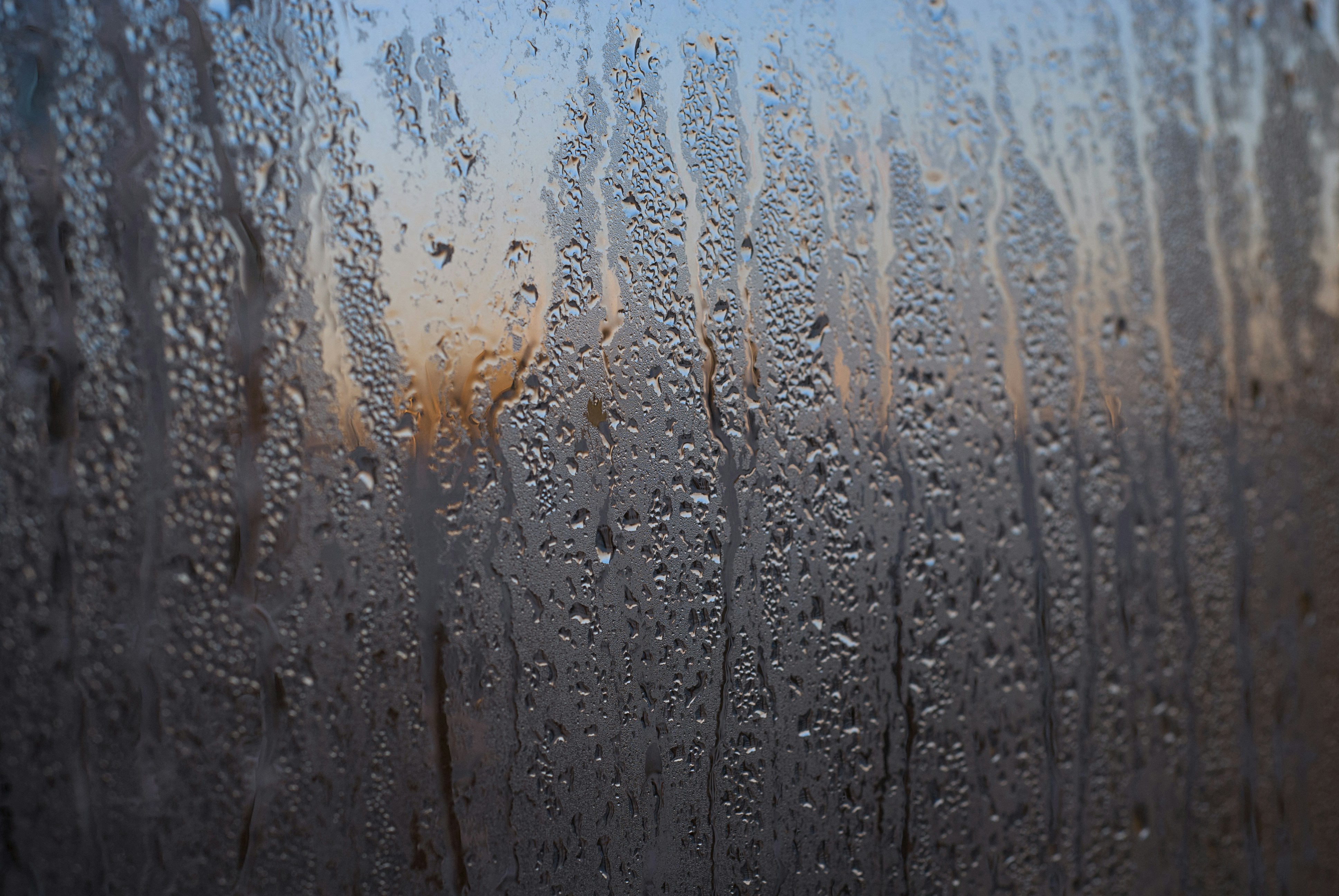 Photo by kovalskihelga