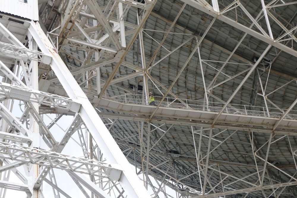 Un oiseau est perché sur une structure métallique