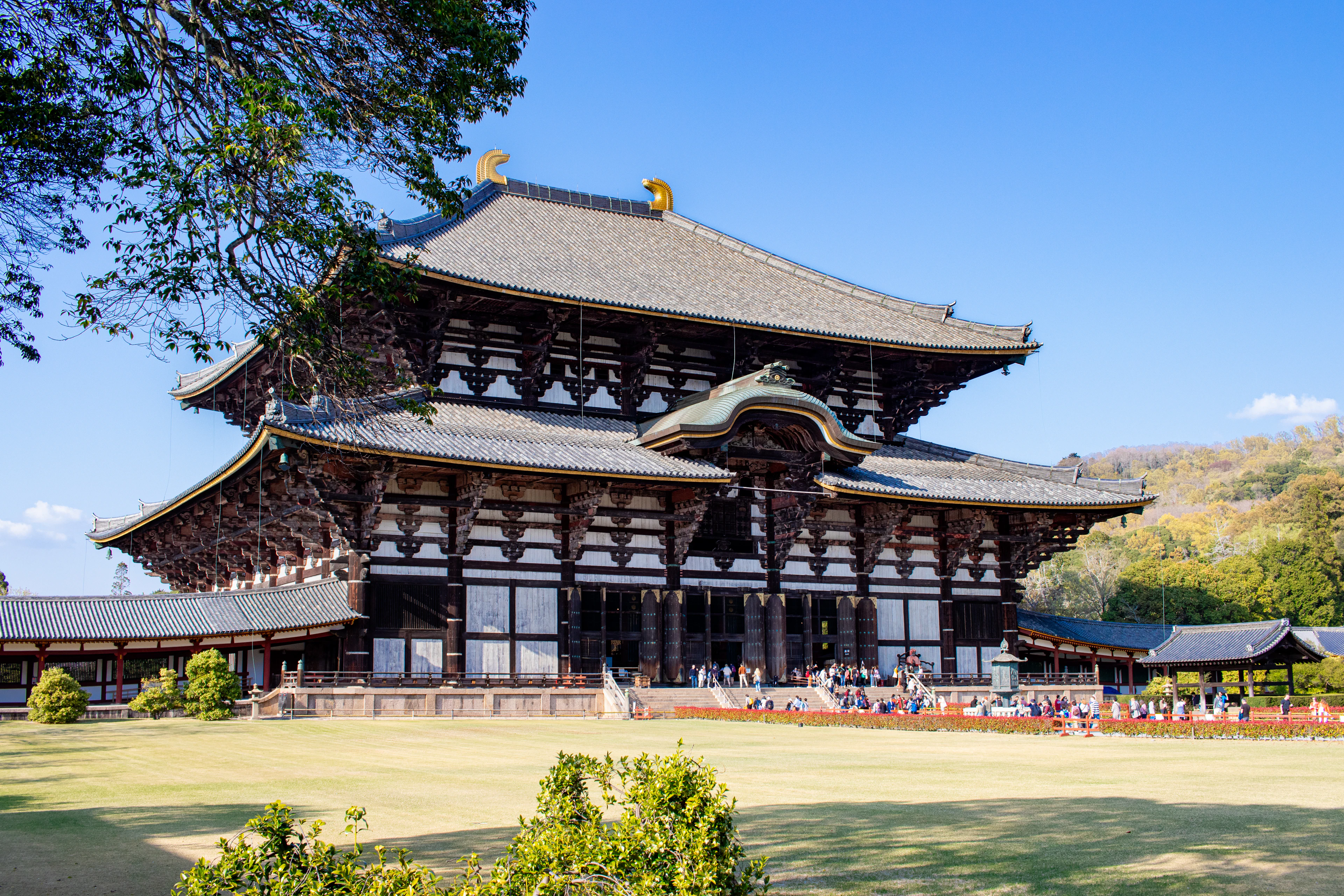 The great wooden Daibutsuden hall of Todai-ji in Nara seen across its open forecourt under a clear blue sky, its two sweeping tiled roofs and golden ornaments framed by trees, with wooded hills behind