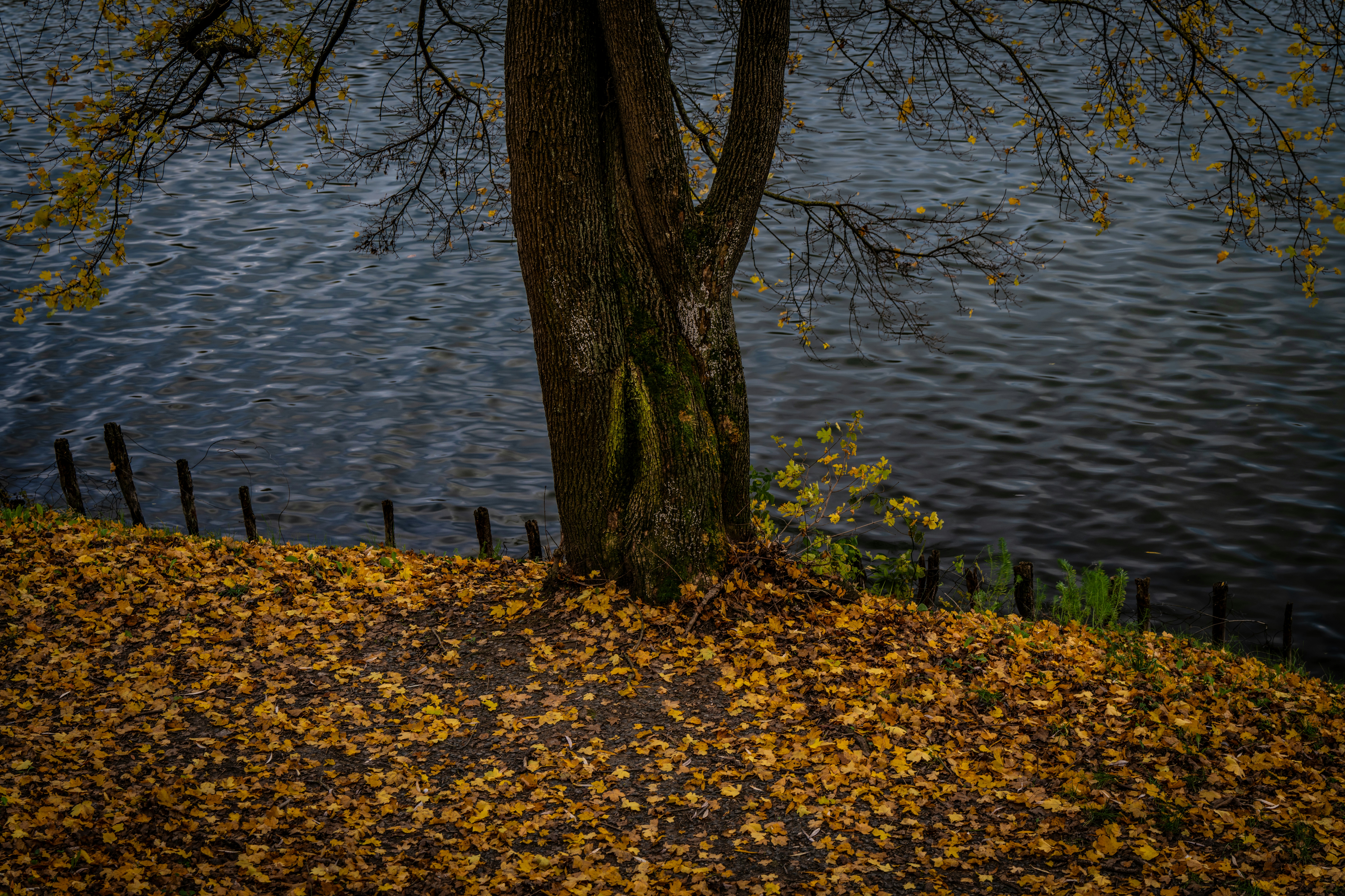 Image by Milan Czar via Unsplash