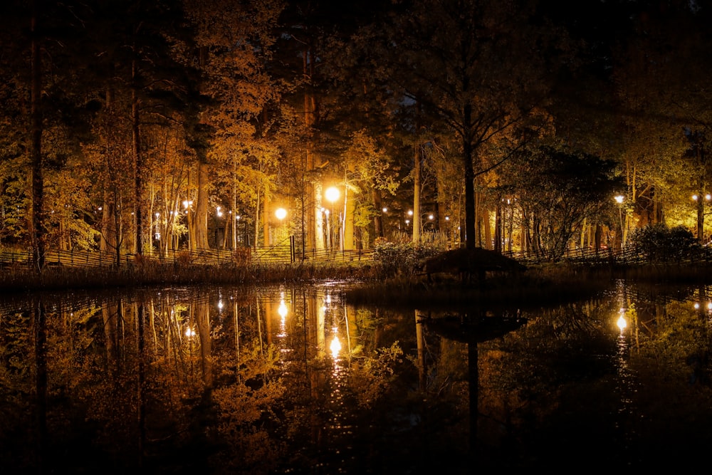 a pond surrounded by trees and lights at night