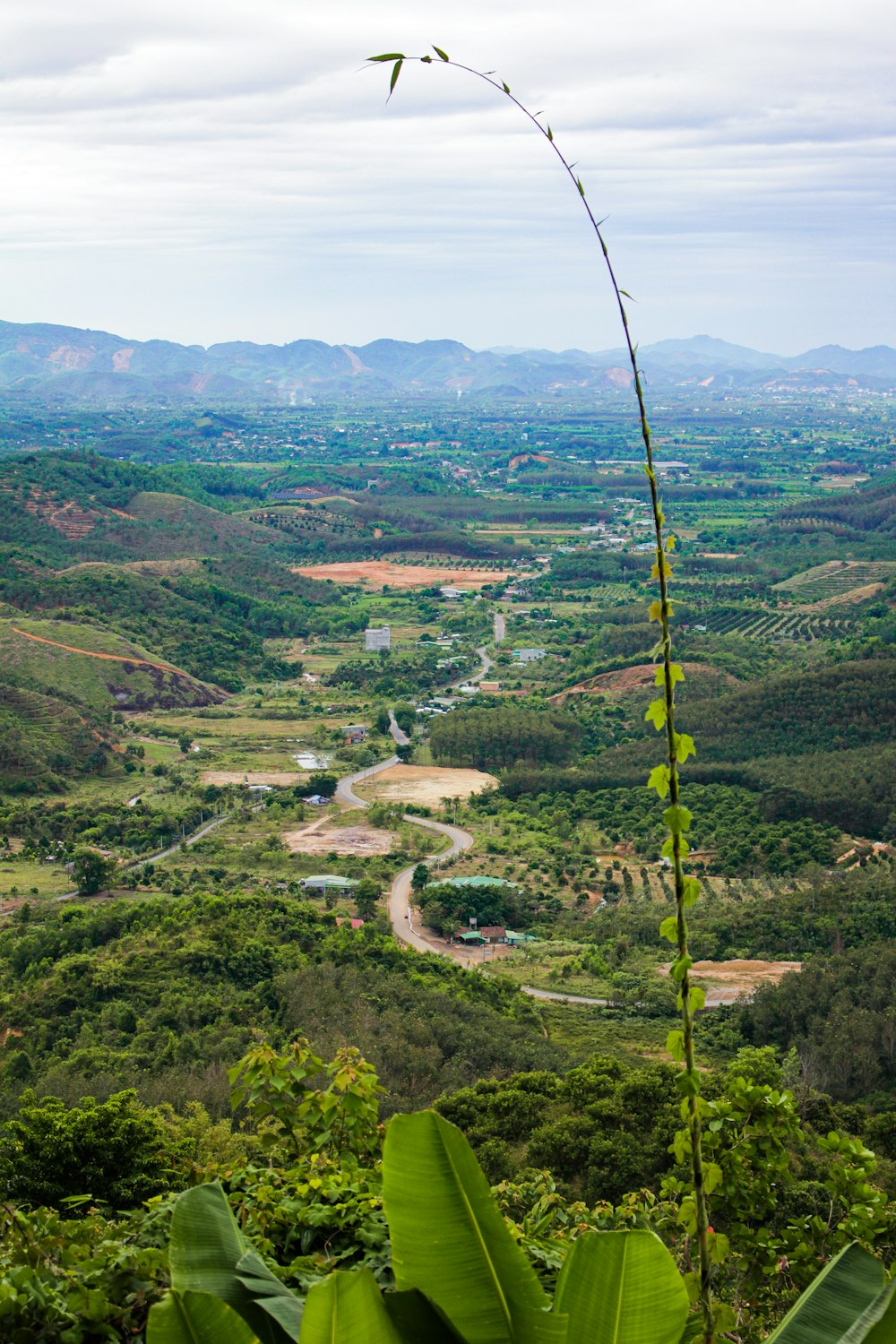 a lush green valley surrounded by mountains