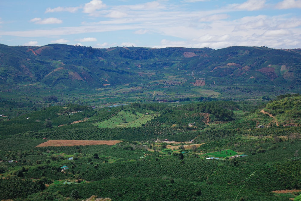 a view of a lush green valley with mountains in the background