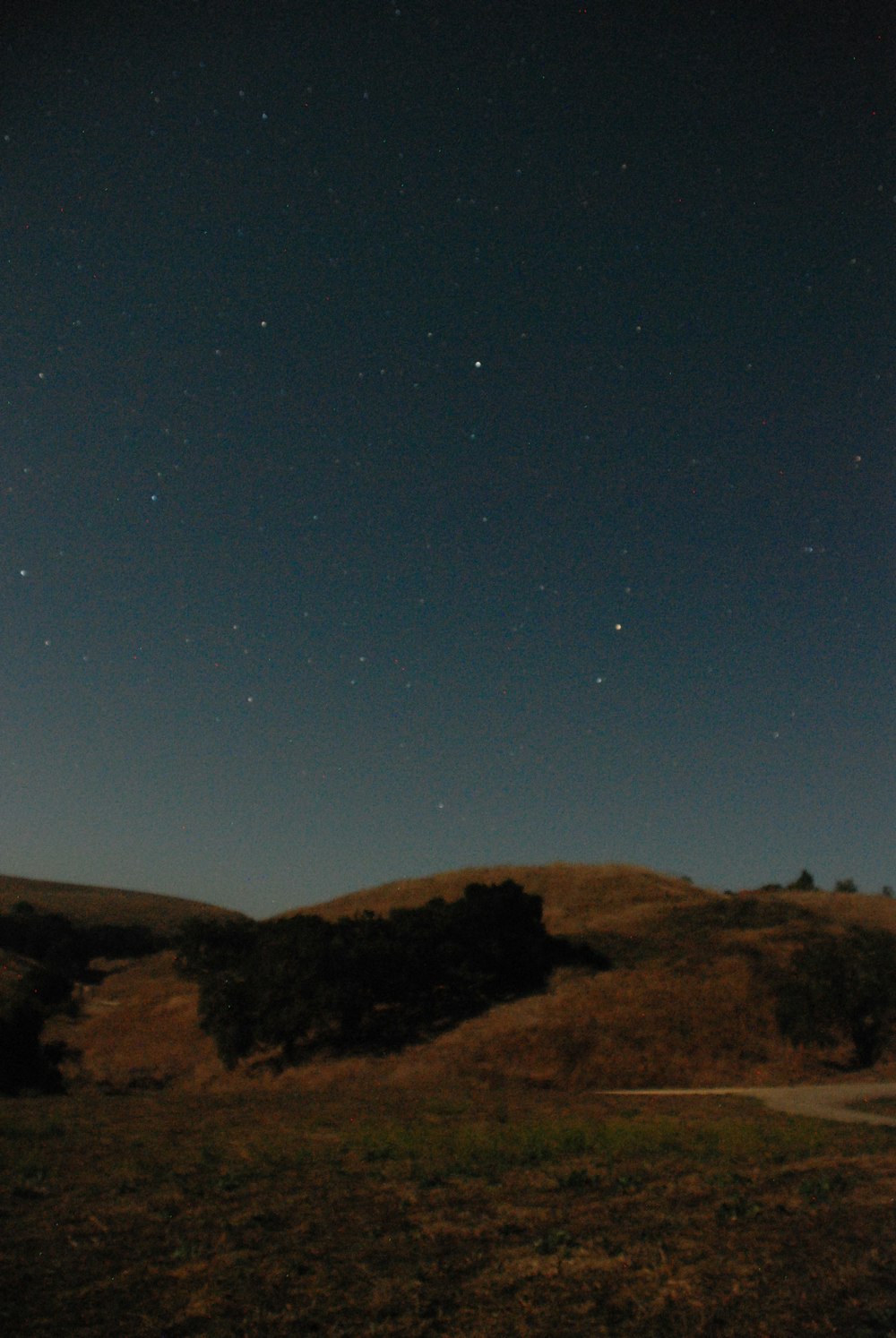 the night sky is full of stars above a grassy hill