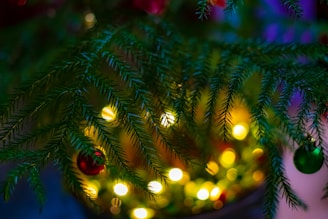 Seasonal decorations that bring joy to your home.