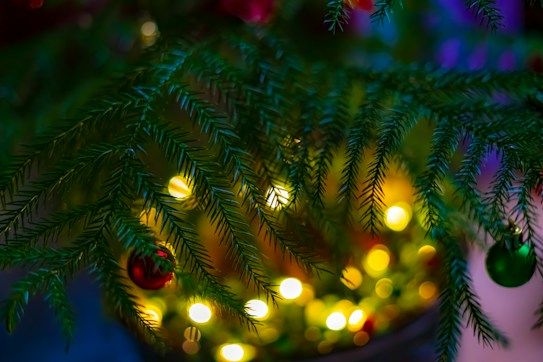 Festive evergreen branches adorned with colorful ornaments and glowing lights create a warm and cozy holiday atmosphere.