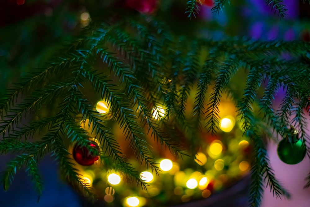 Un primer plano de un árbol de Navidad con luces