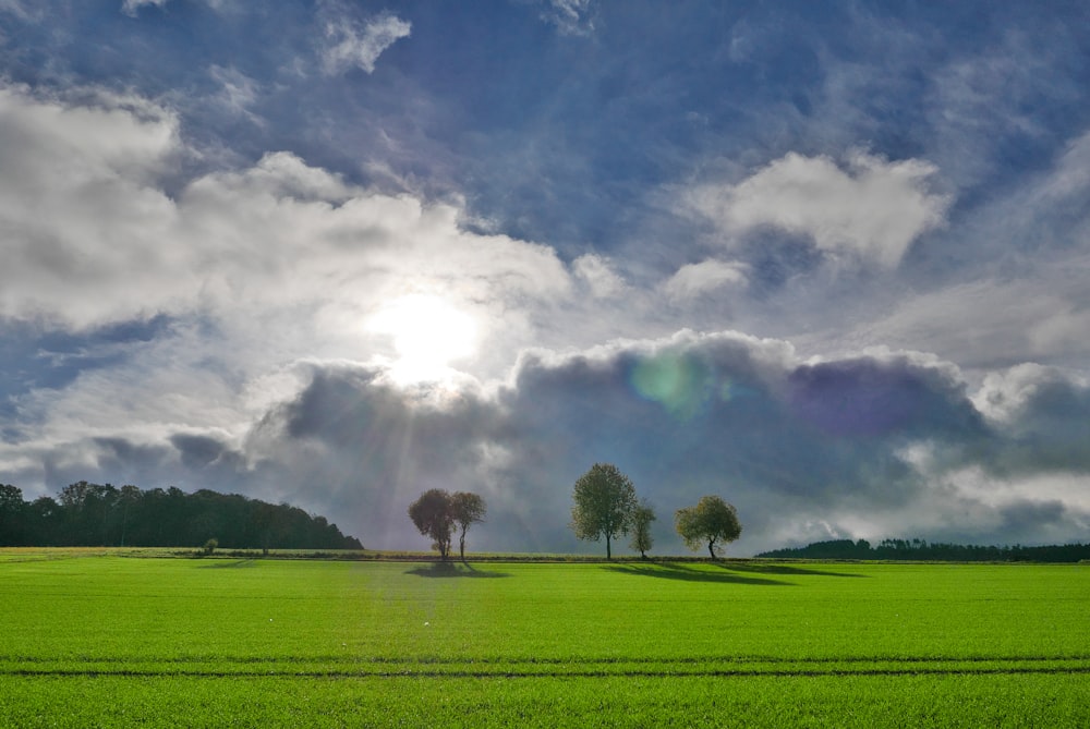 a green field with trees and clouds in the background