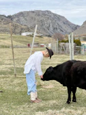 Hands exchanging payment for a calf with a countryside background