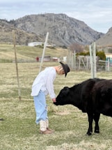 A friendly farm worker holding a calf in a sunny pasture.